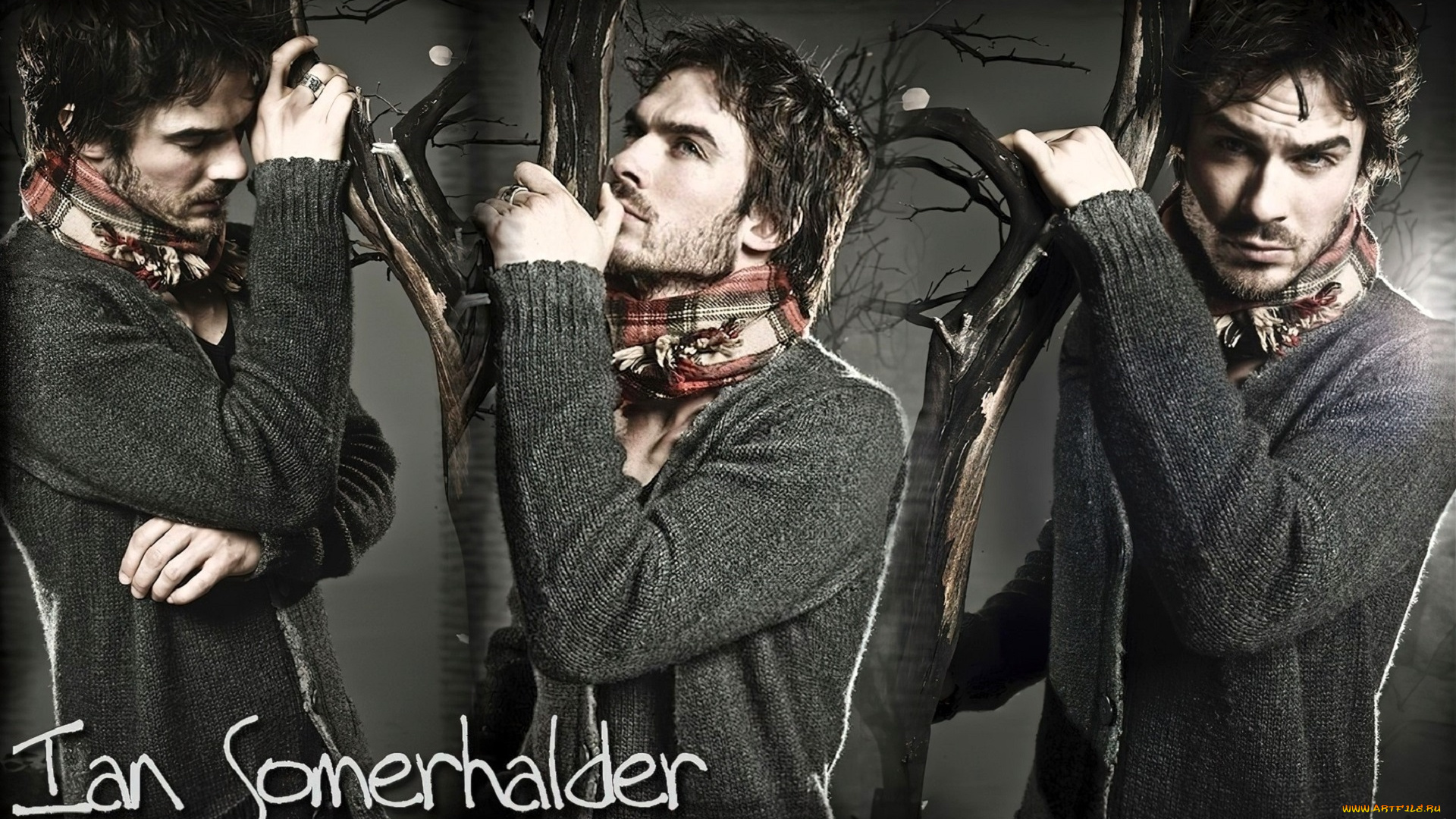 мужчины, ian, somerhalder, актер, коллаж, шарф, свитер, ветки