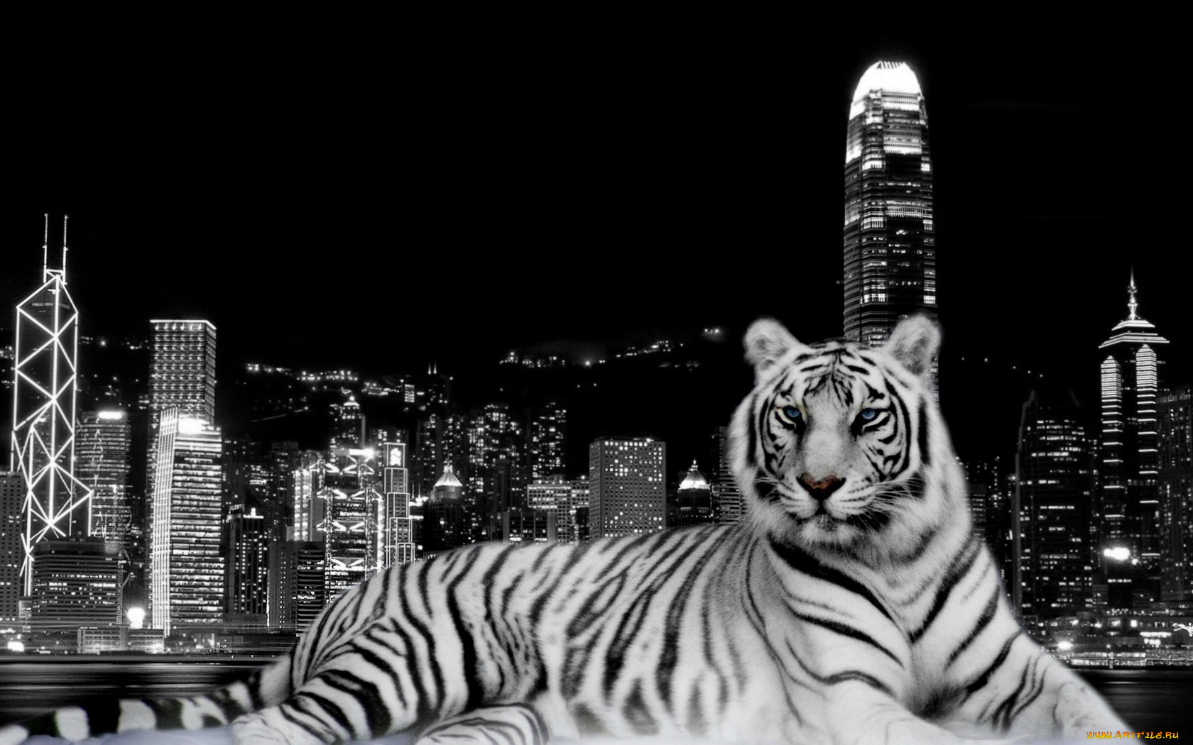 фэнтези, существа, черно-белое, огни, тигр, ночь, дома, здания, город