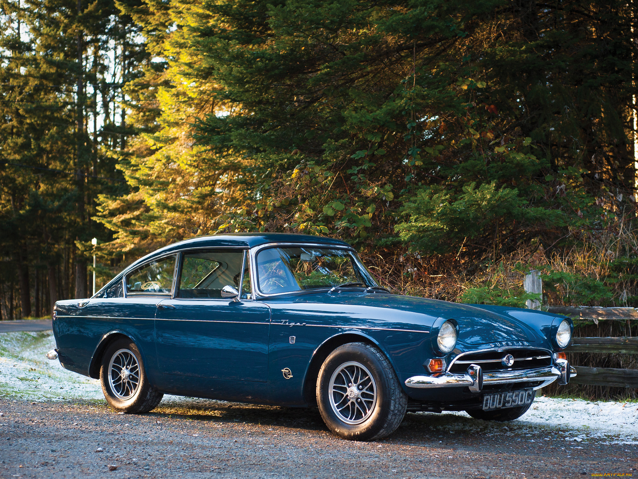 автомобили, sunbeam, tiger