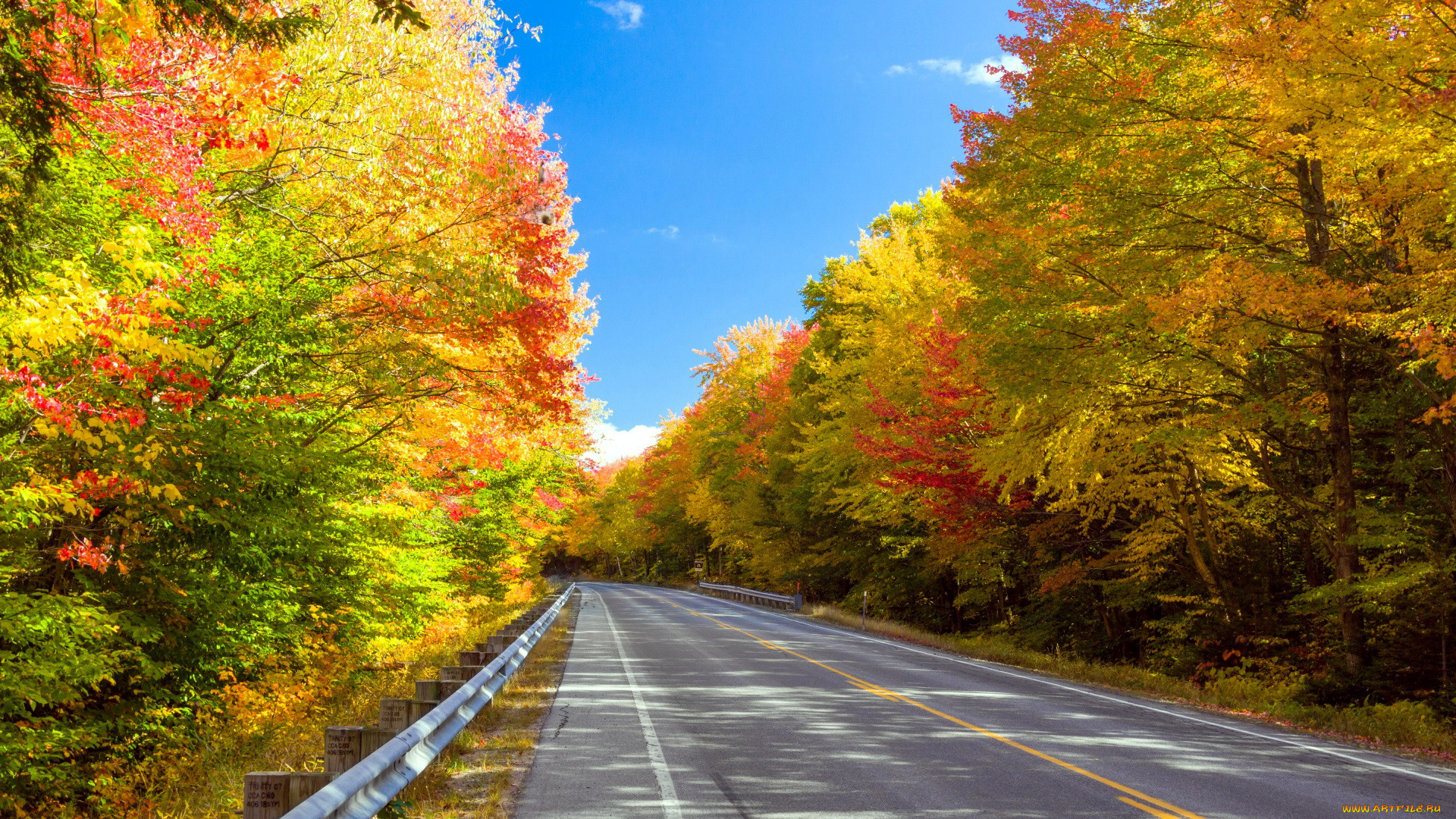 природа, дороги, осень, шоссе, деревья