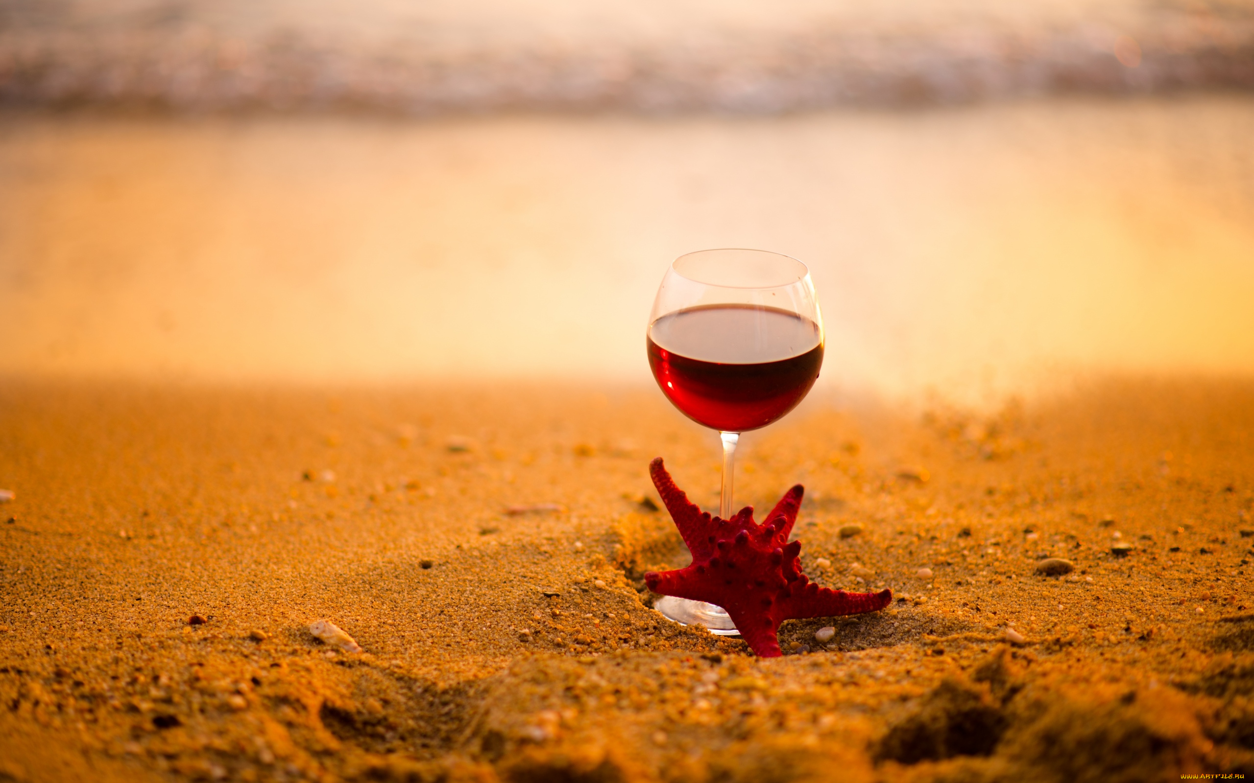 еда, напитки, , вино, песок, звезда, морская, вино, бокал
