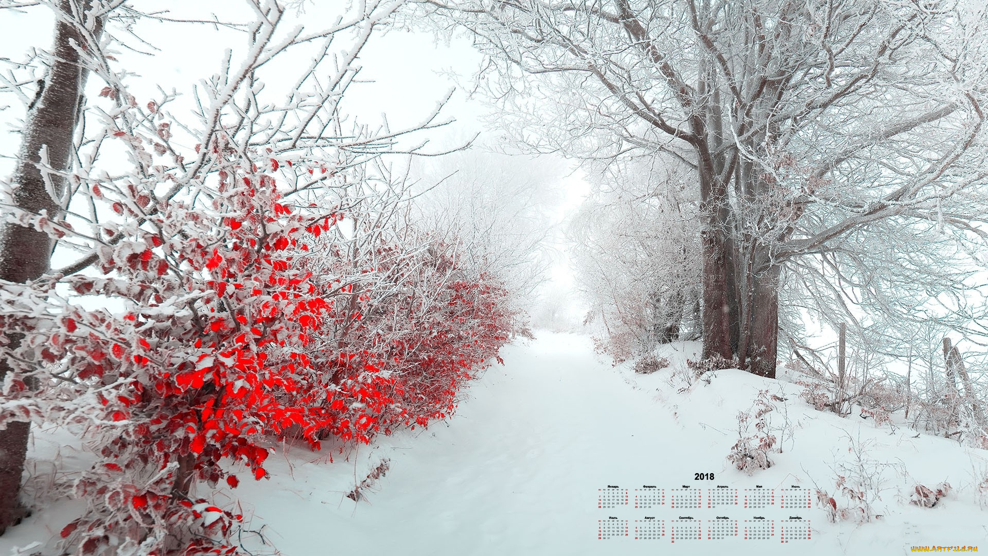 календари, природа, листья, зима, снег, деревья, 2018