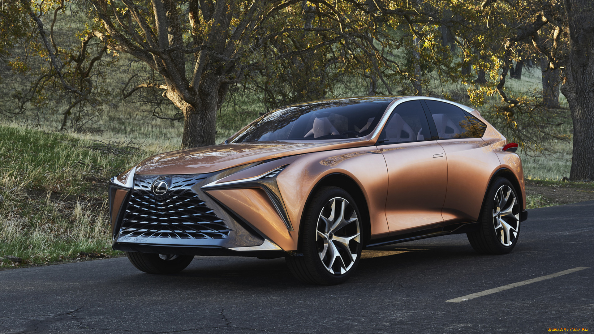 lexus, lf-1, limitless, concept, 2018, автомобили, lexus, concept, limitless, lf-1, 2018