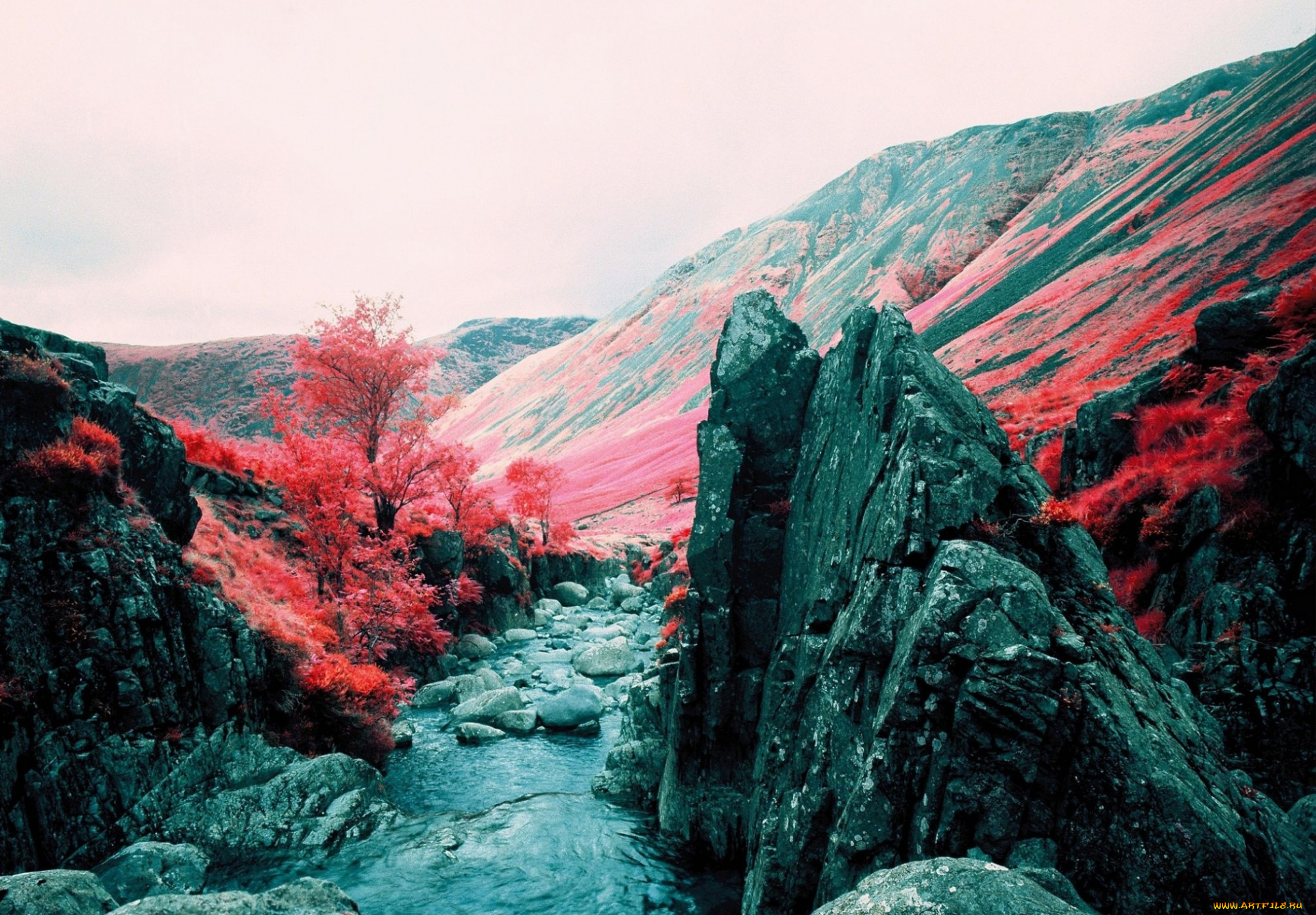 природа, горы, осень, вода