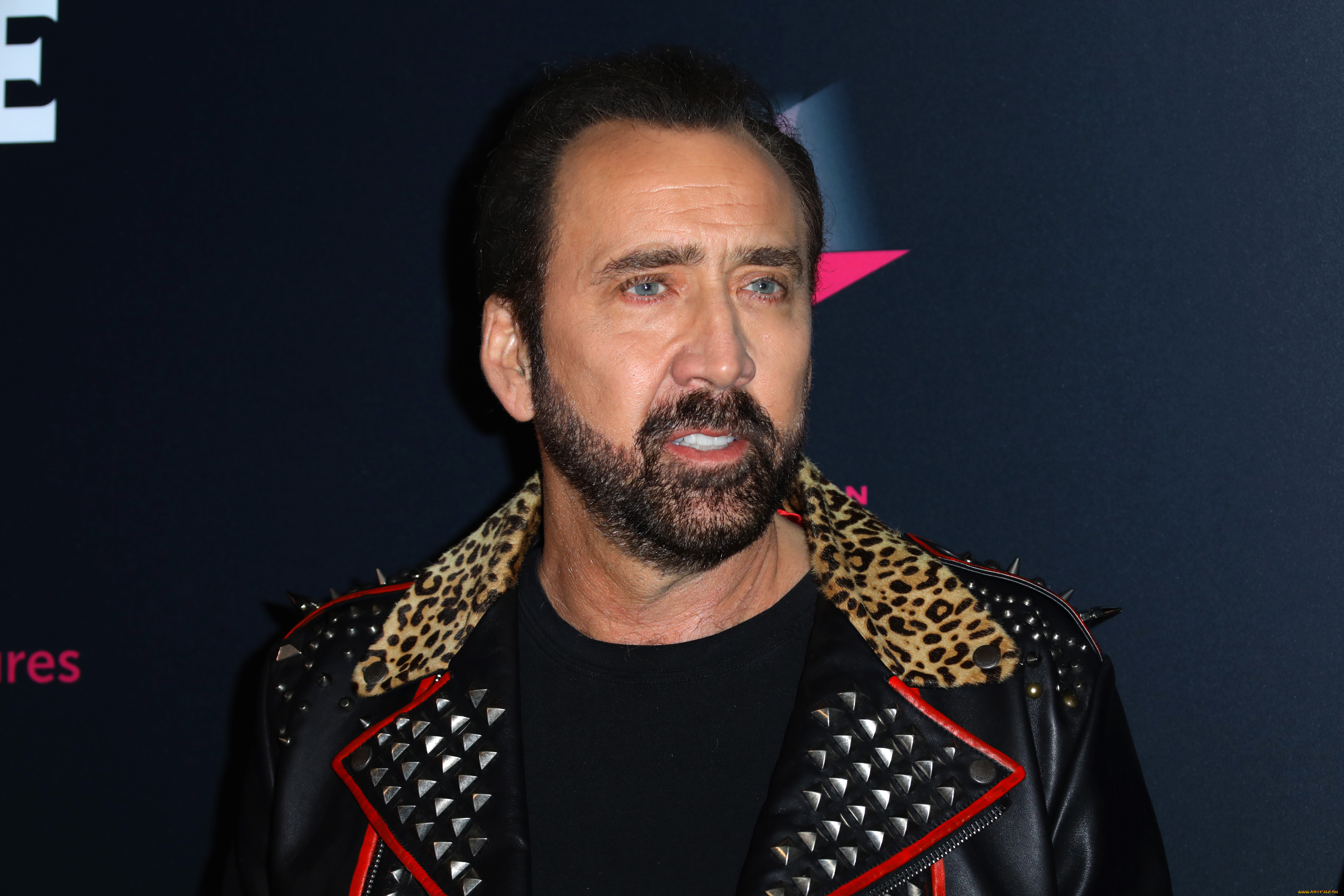 мужчины, nicolas, cage, актер, лицо, борода, куртка