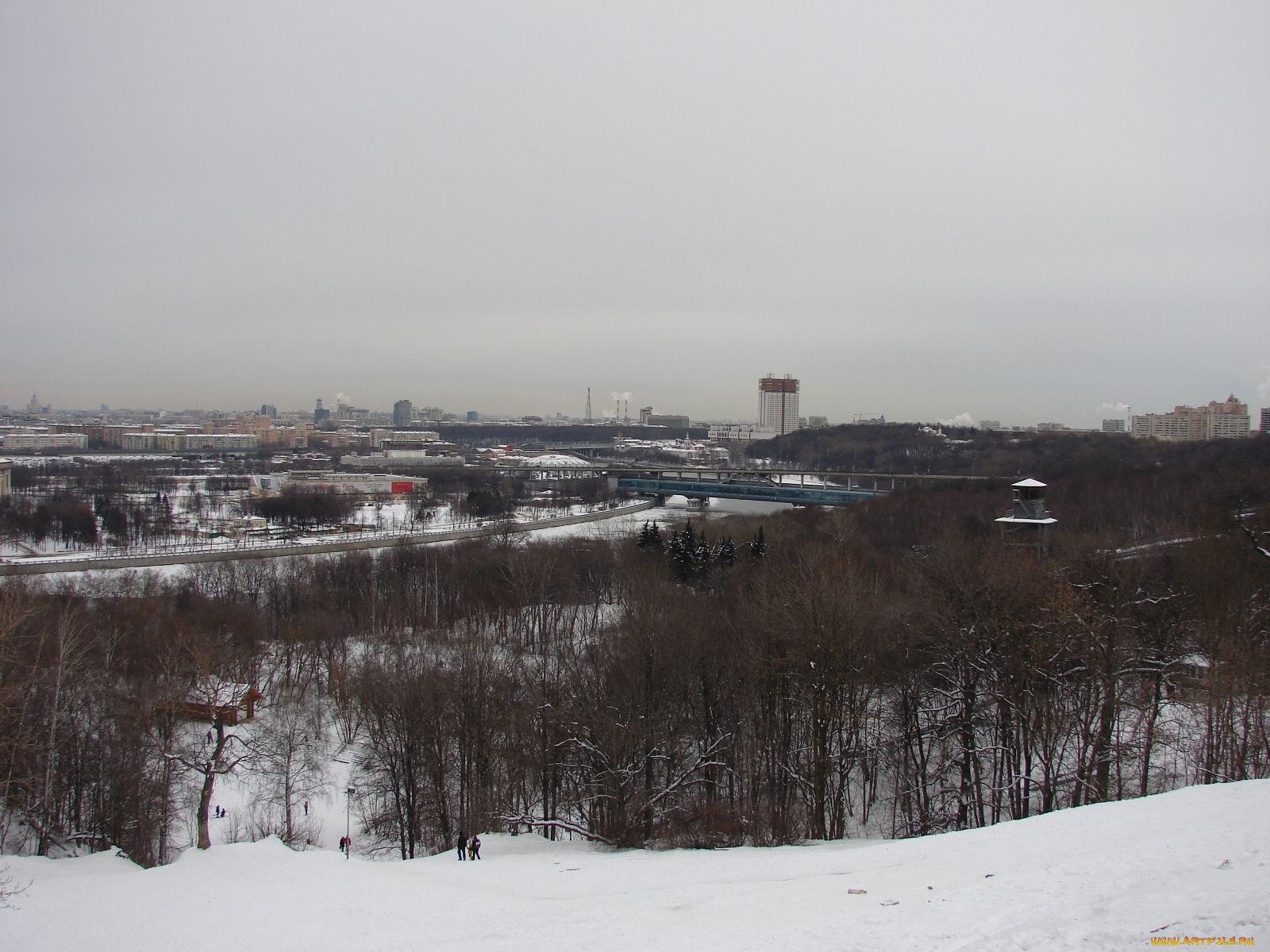 воробьевы, горы, панорама, москвы, города, москва, россия