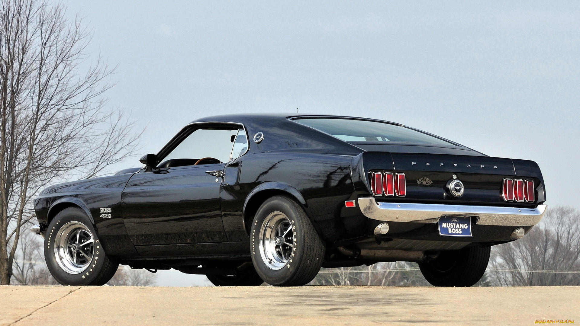 автомобили, mustang, форд, 429, boss, черный, сзади, мустанг, мускул, кар, black, muscle, car, 1969, ford