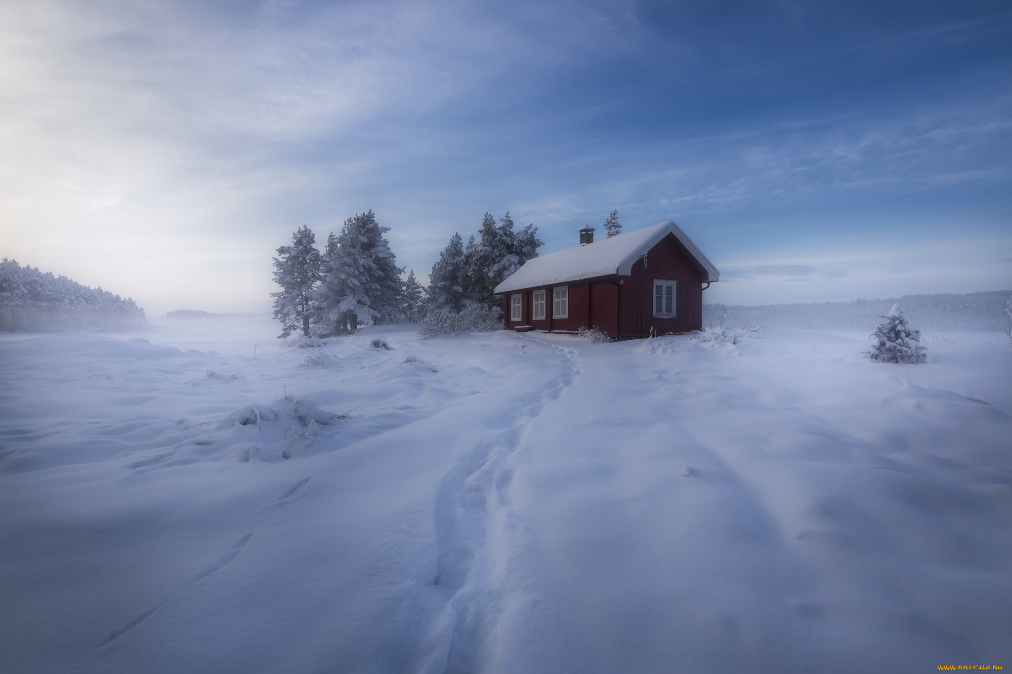 природа, зима, норвегия, снег, домик, деревья