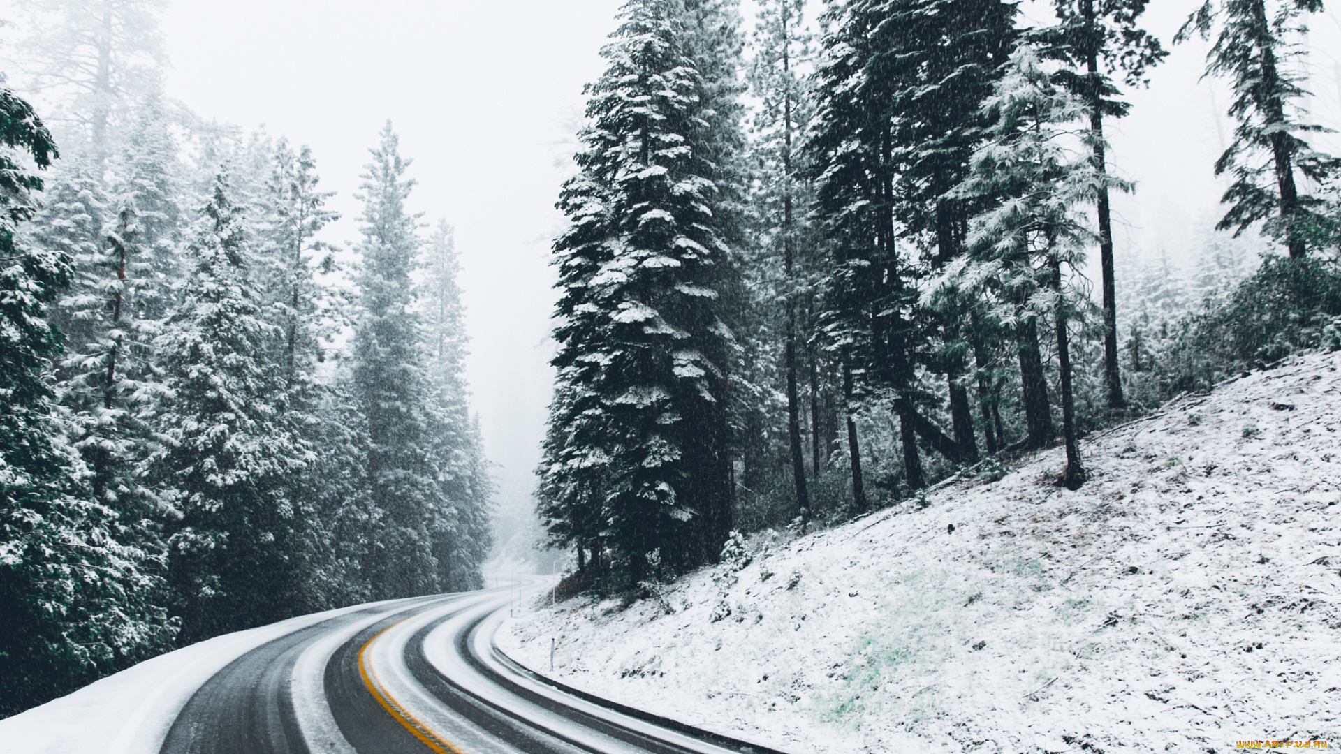 природа, дороги, зима, дорога, снег, лес
