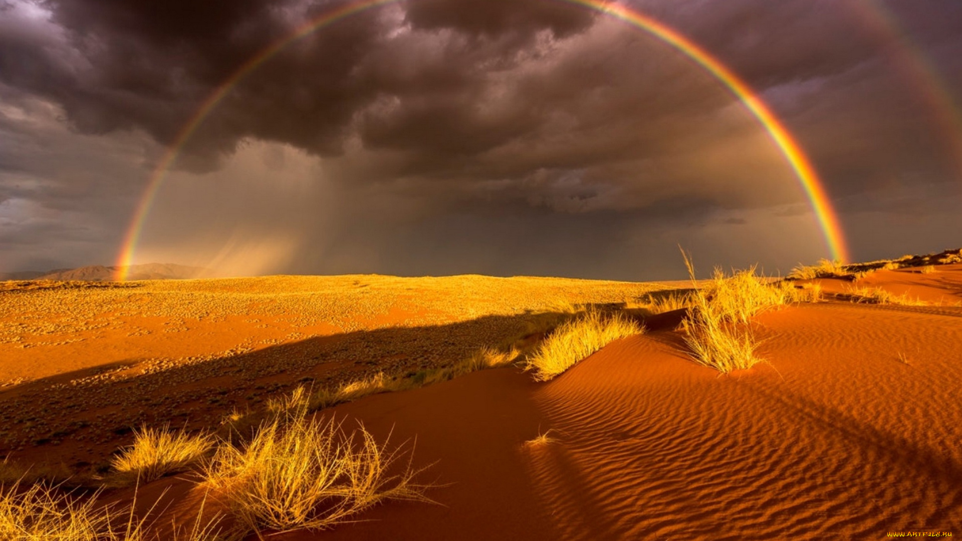 природа, радуга, пустыня