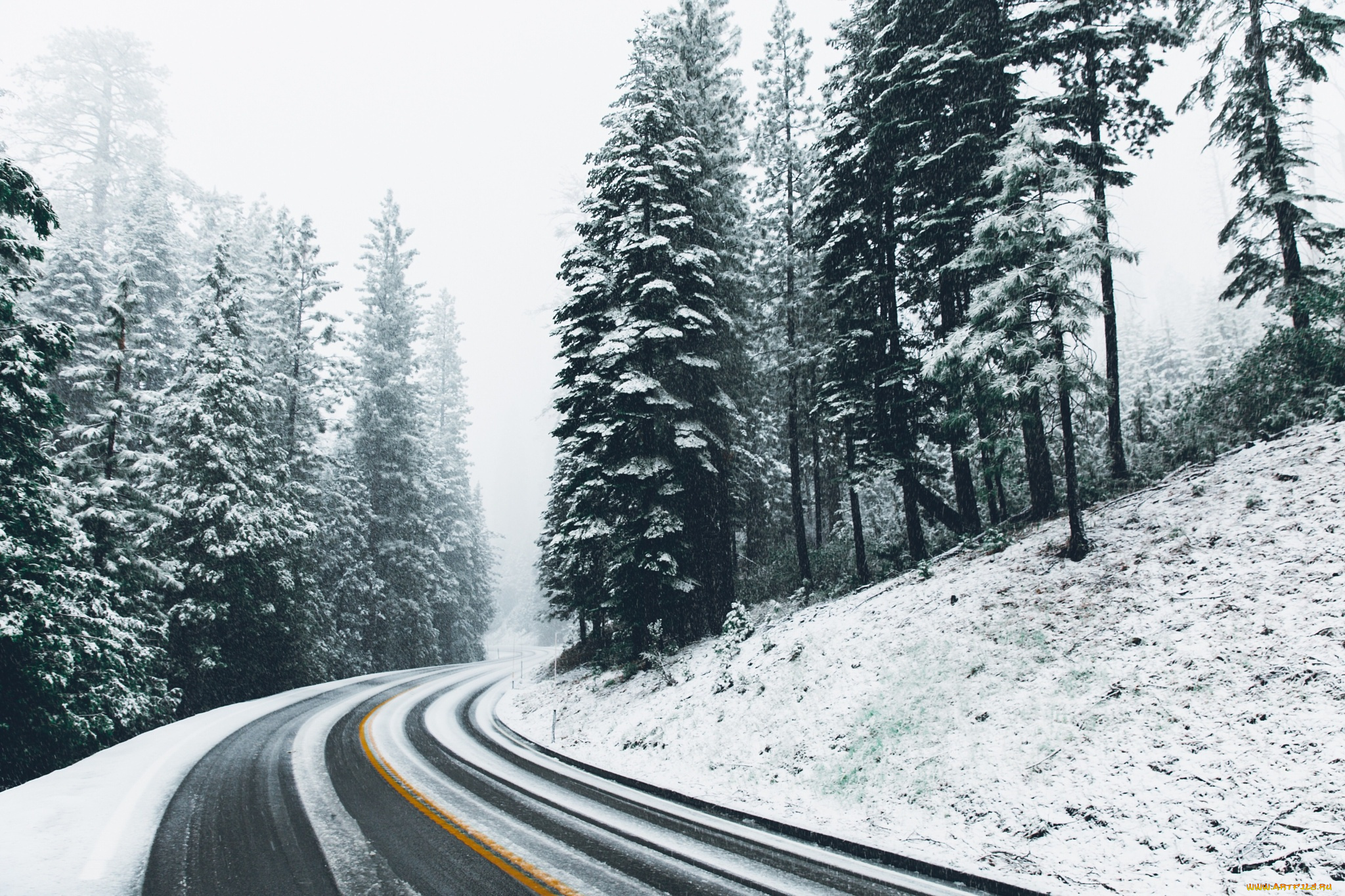 природа, дороги, зима, дорога, снег, лес