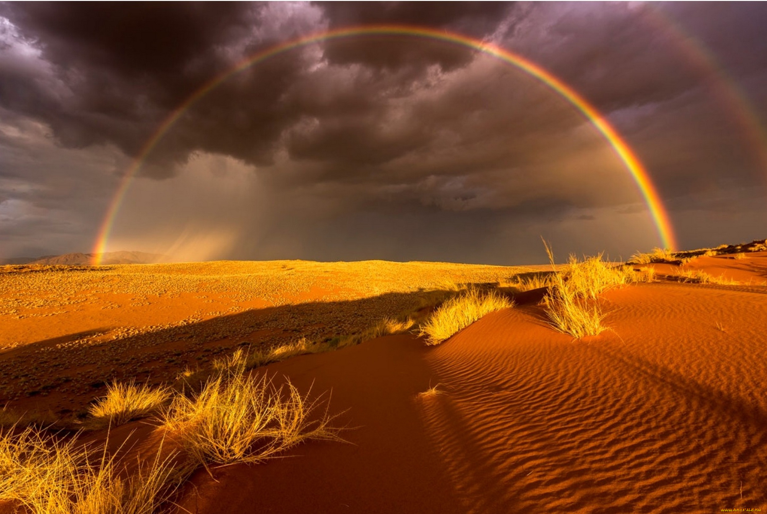природа, радуга, пустыня