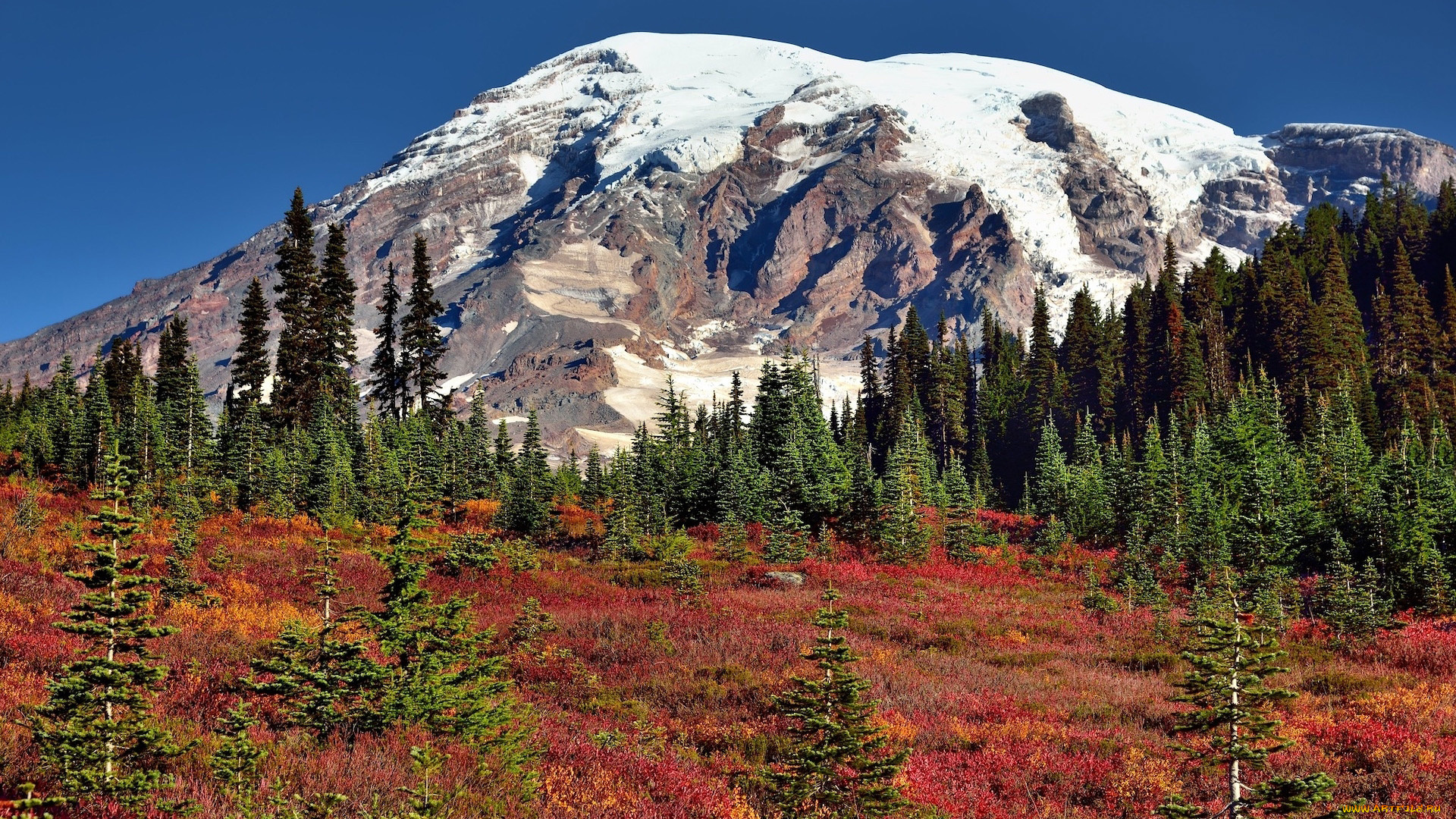 mount, rainier, usa, природа, горы, mount, rainier