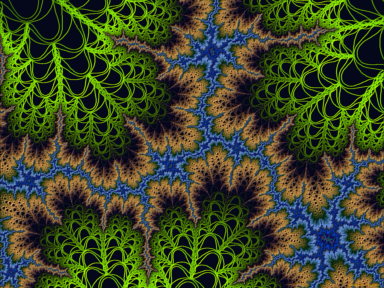 3д, графика, fractal, фракталы, фон, узор