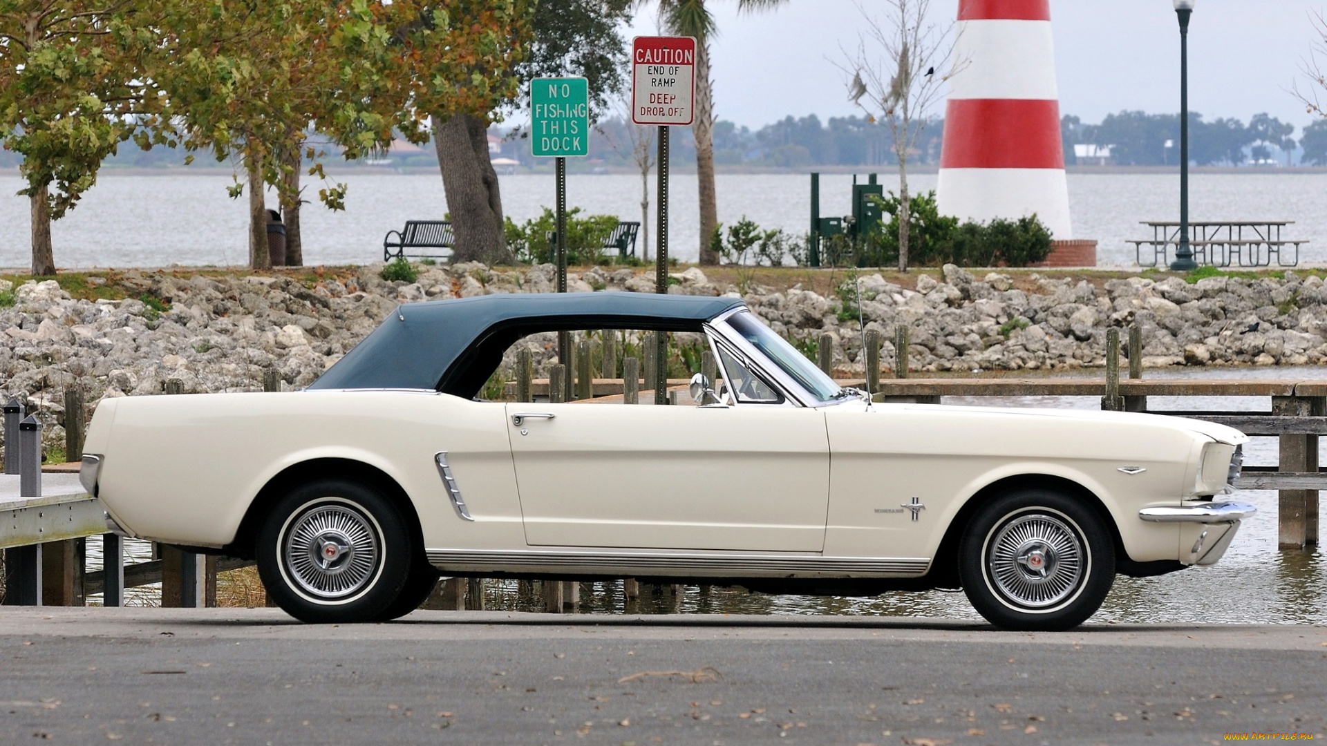 mustang, автомобили, сша, ford, motor, company