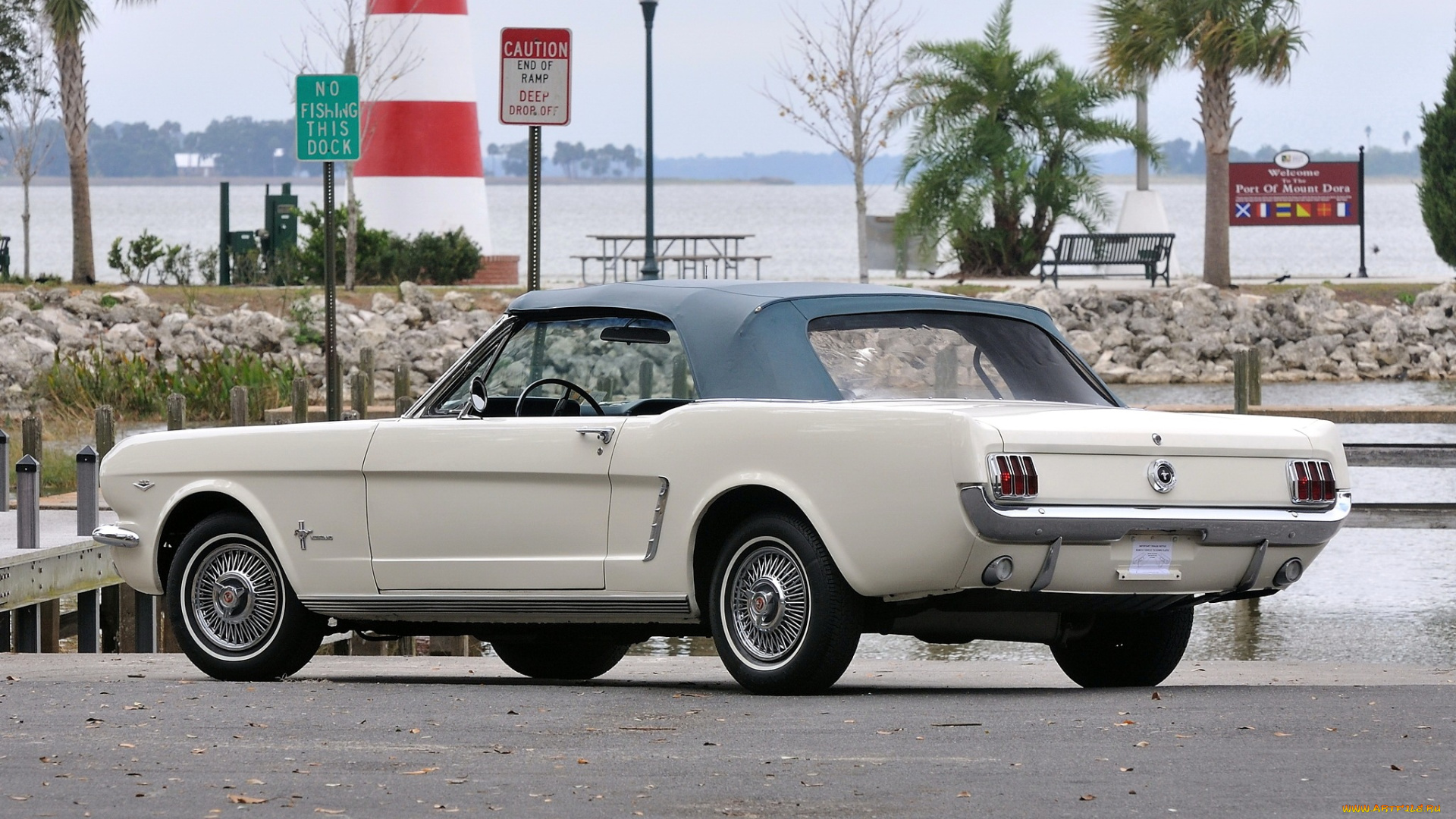 mustang, автомобили, сша, ford, motor, company