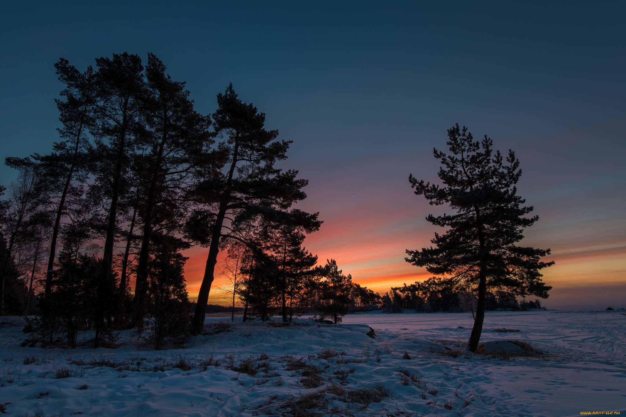 sweden, природа, деревья, швеция, закат, снег, зима
