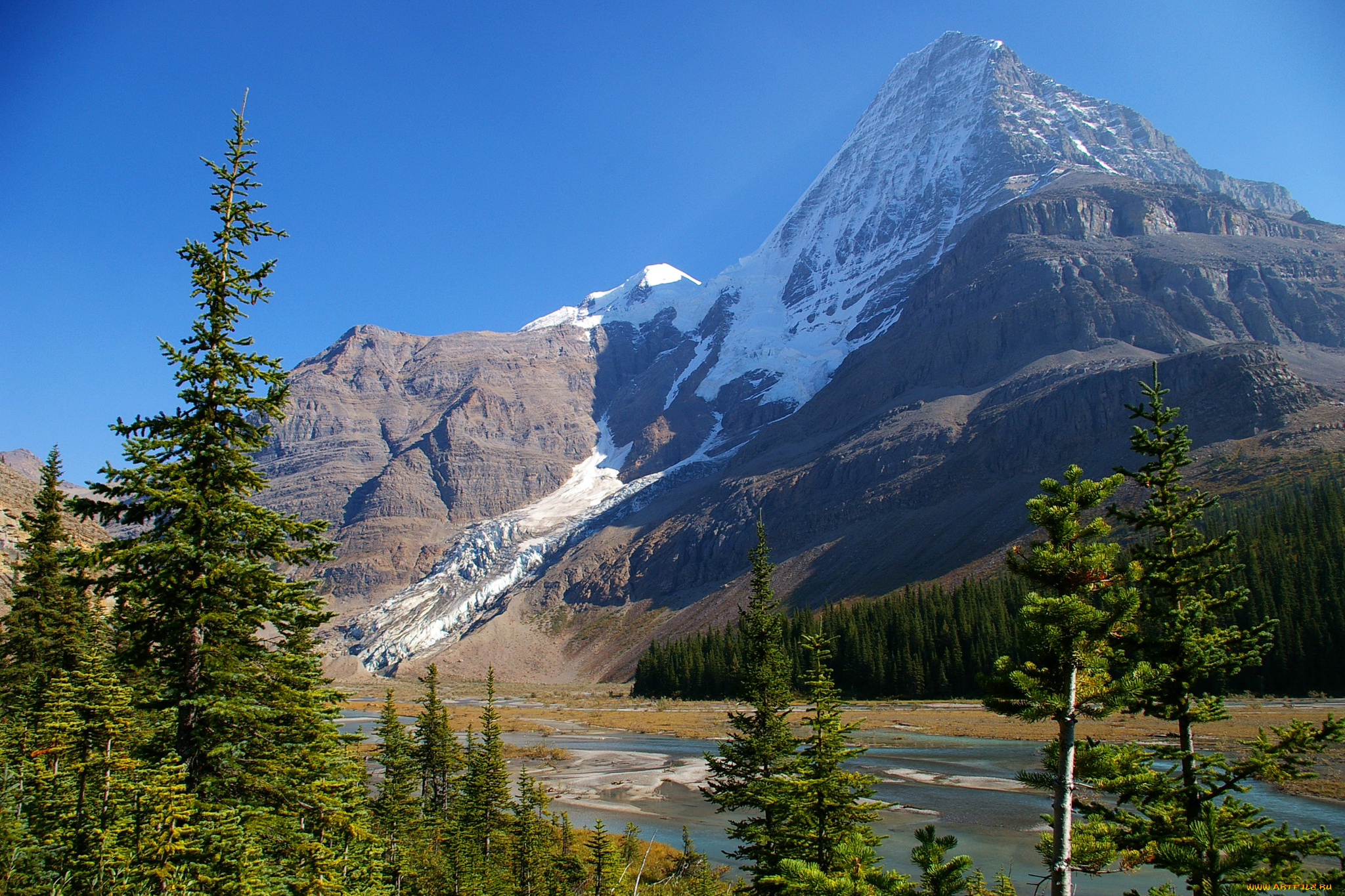 mount, robson, provincial, park, , british, columbia, , canada, природа, горы, снег, ели, вода, канада