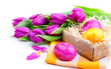 Картинка праздничные пасха белый фон цветы тюльпаны коробка яйца праздник