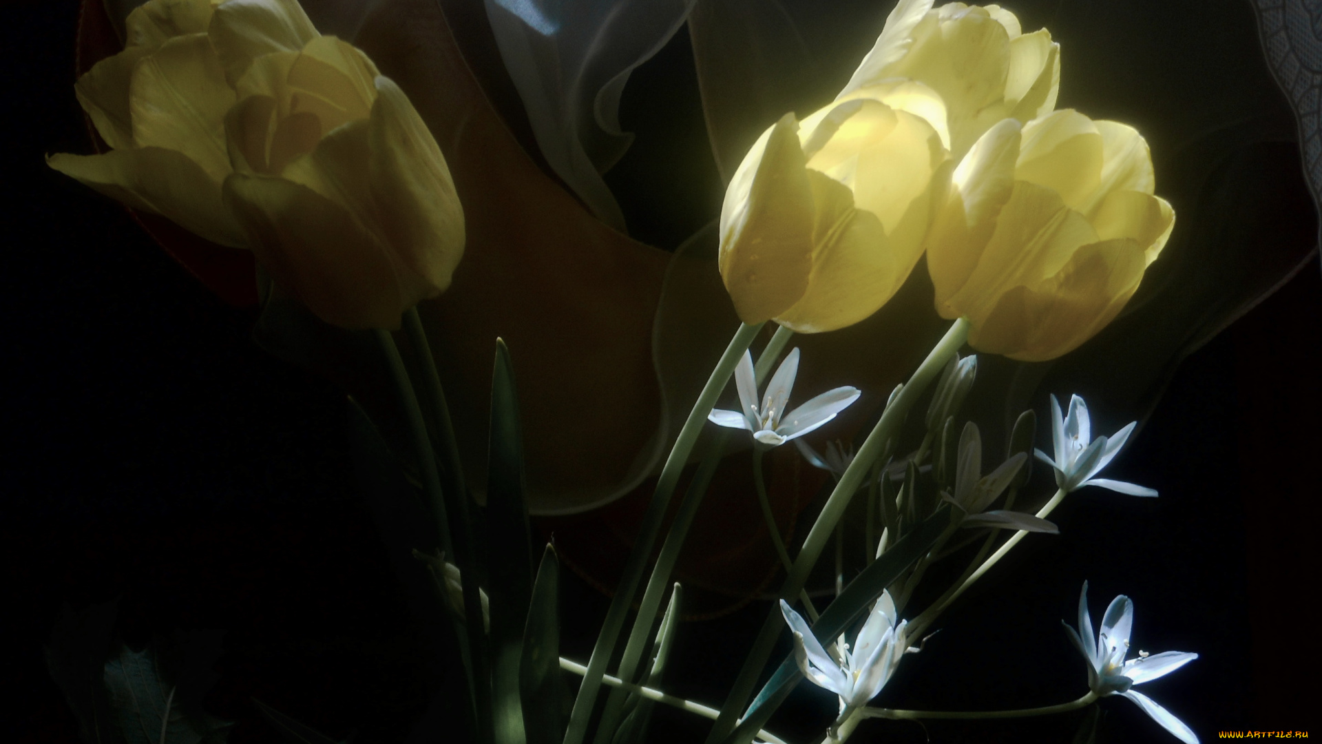 цветы, разные, вместе, размытость, жёлтые, тюльпаны