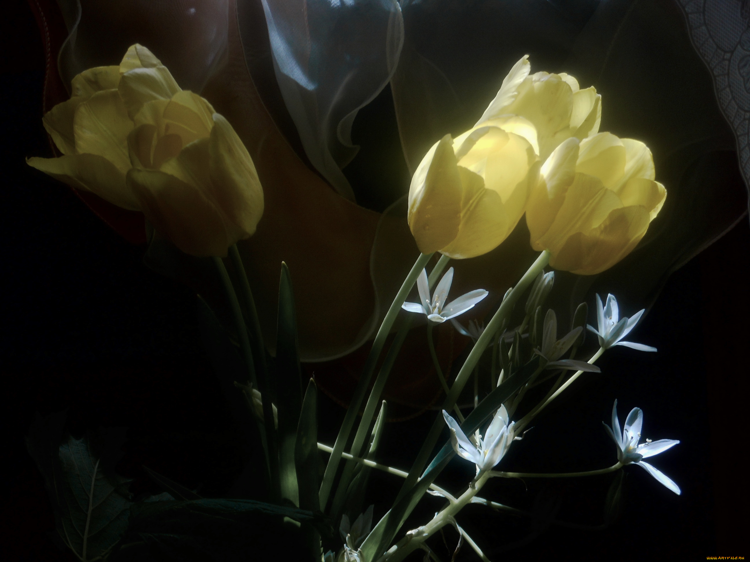 цветы, разные, вместе, размытость, жёлтые, тюльпаны