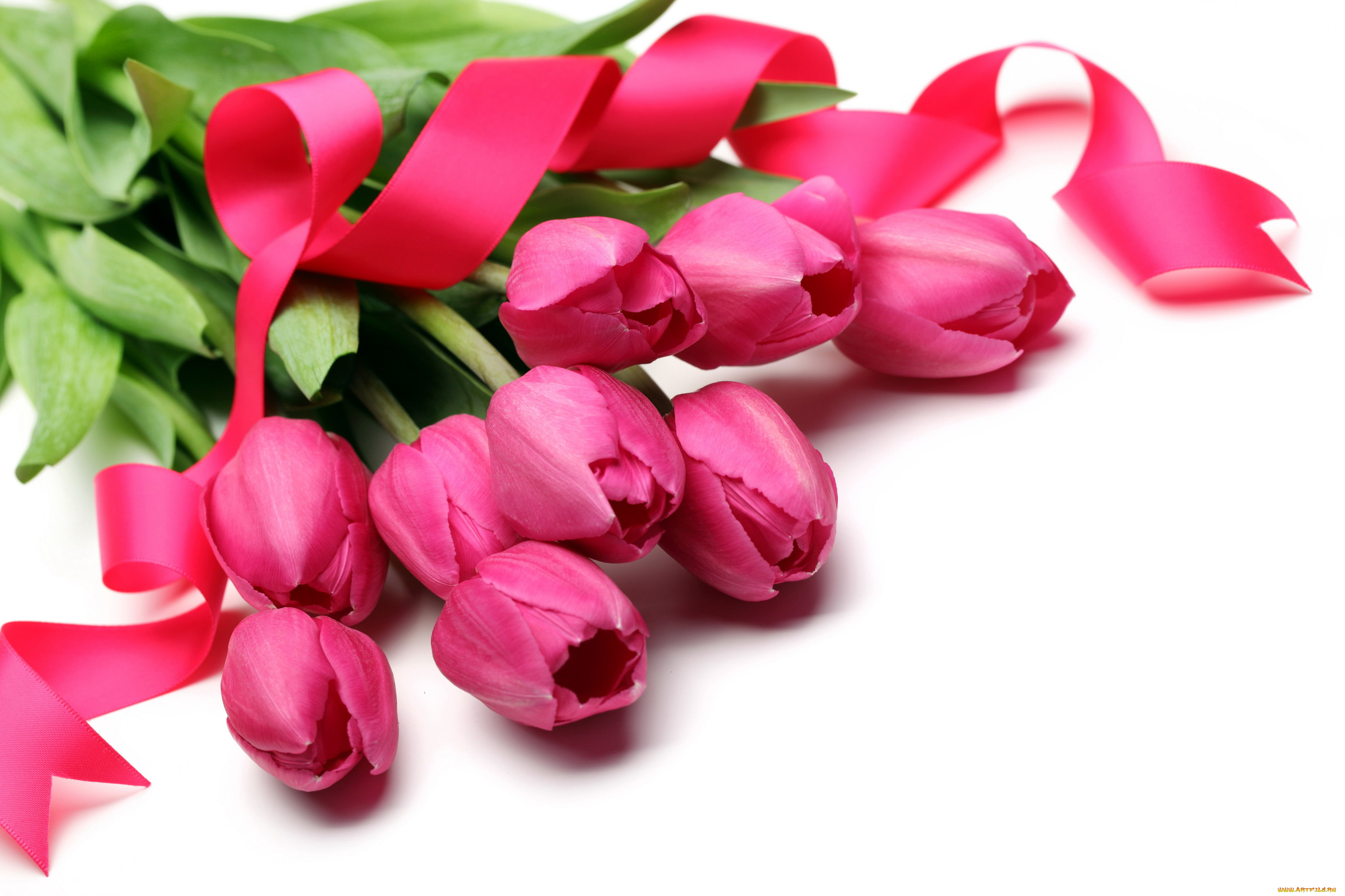 цветы, тюльпаны, лента, розовый