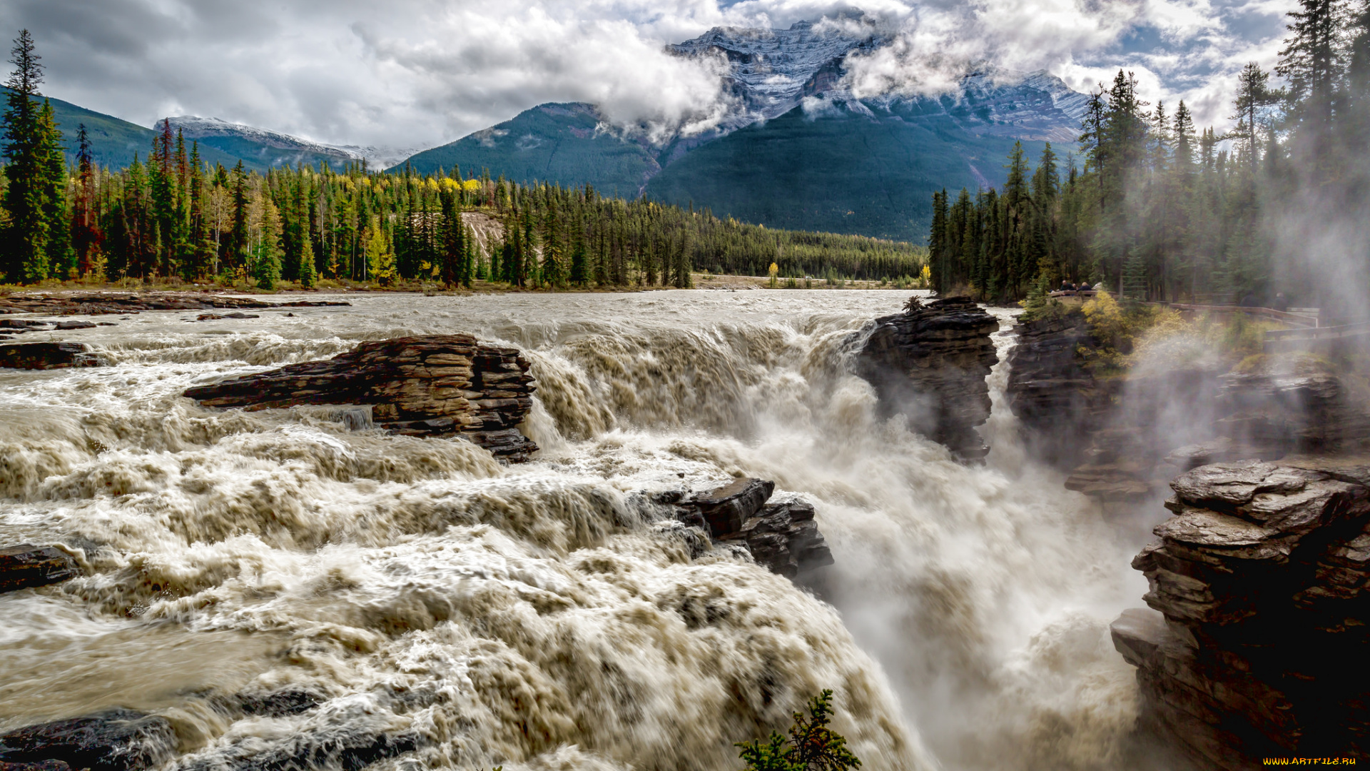 природа, водопады, лес, водопад, река