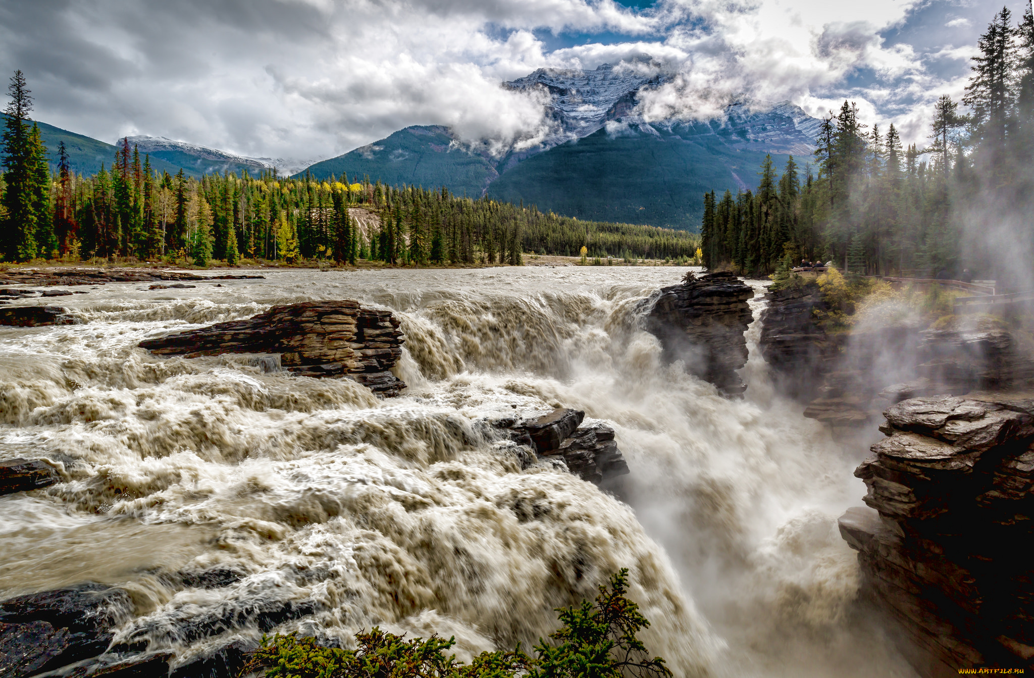 природа, водопады, лес, водопад, река