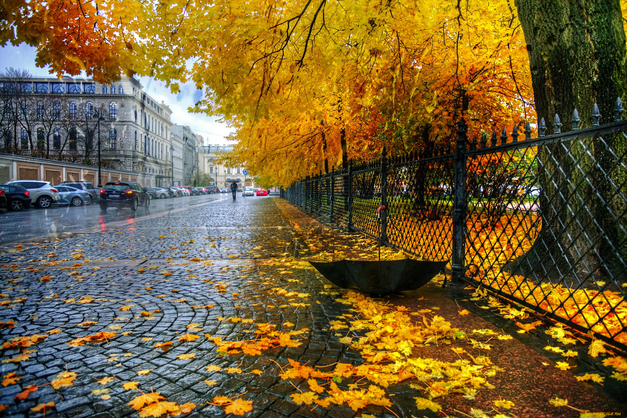 города, санкт-петербург, , петергоф, , россия, екатерининский, парк, забор, листья, санкт, петербург, зонт, осень, дождь