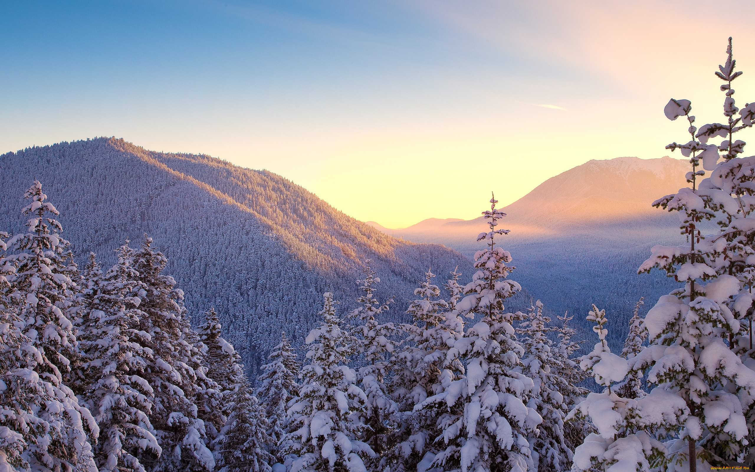 природа, зима, ели, деревья, снег, холмы, пейзаж, вечер, горы, лес