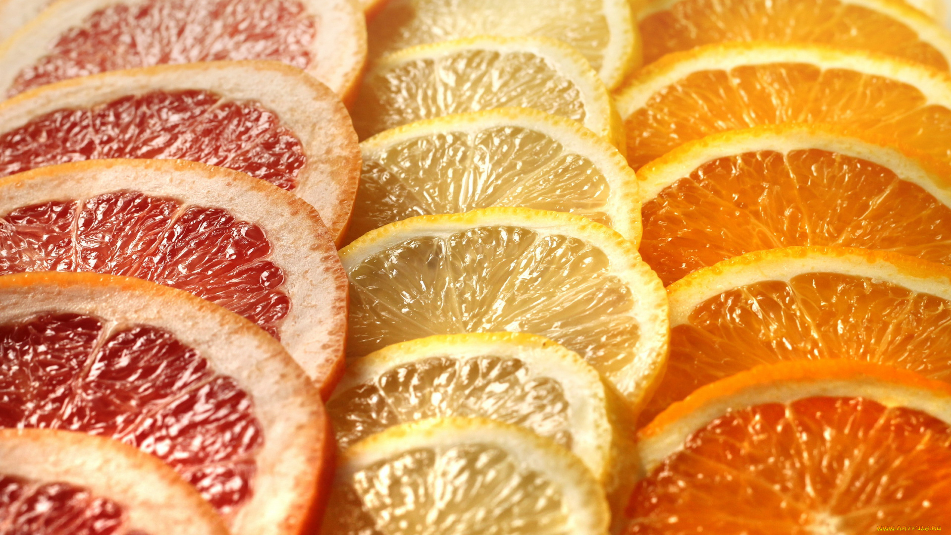 еда, цитрусы, грейпфрут, лимон, апельсин