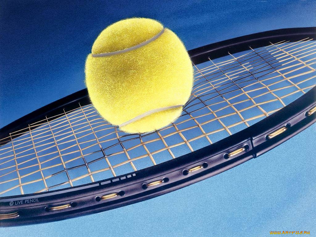 спорт, теннис