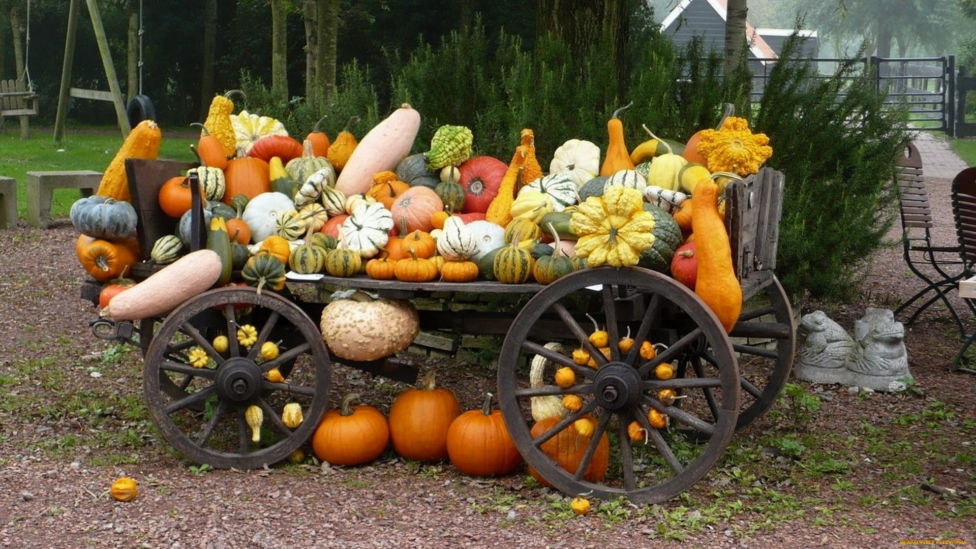 еда, тыква, осень, разнообразие, сорта, урожай, повозка