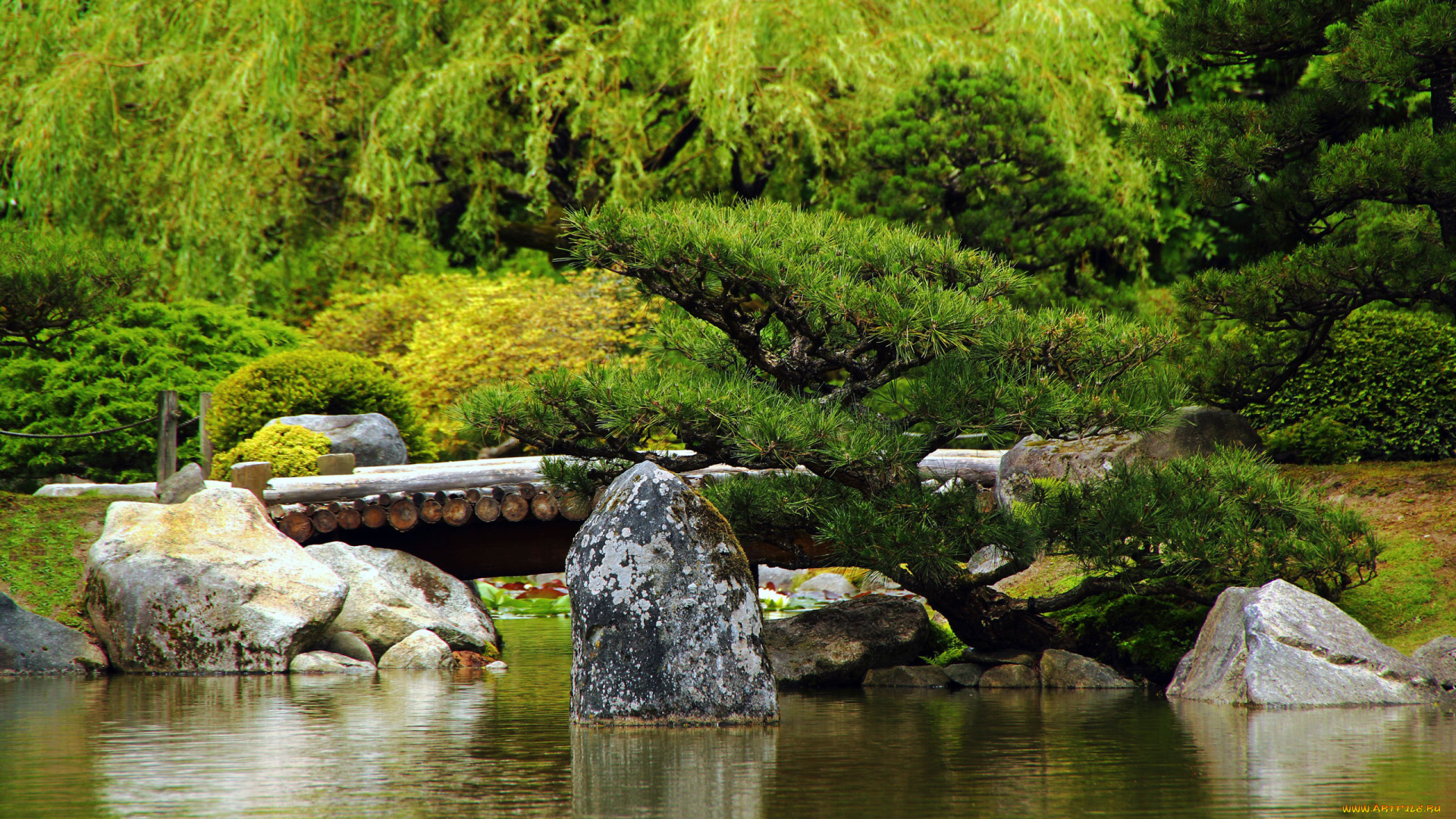 природа, парк, камень, мост, японский, сад, япония