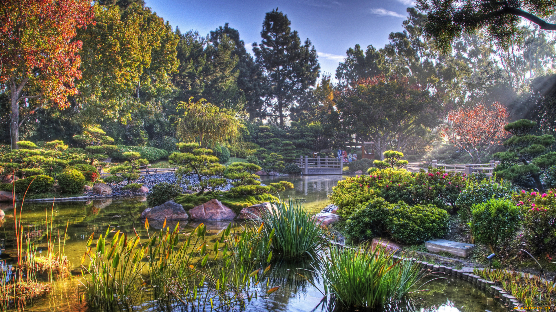 природа, парк, пруд, японский, сад, япония