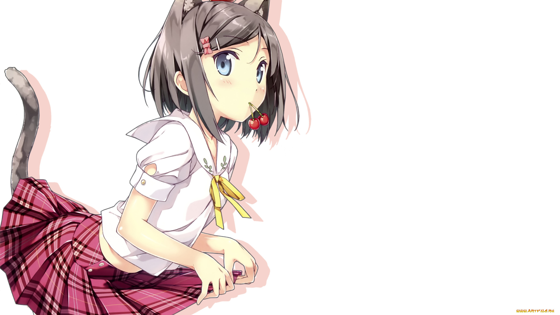 hentai, ouji, to, warawanai, neko, tsukiko, аниме, henneko, anime