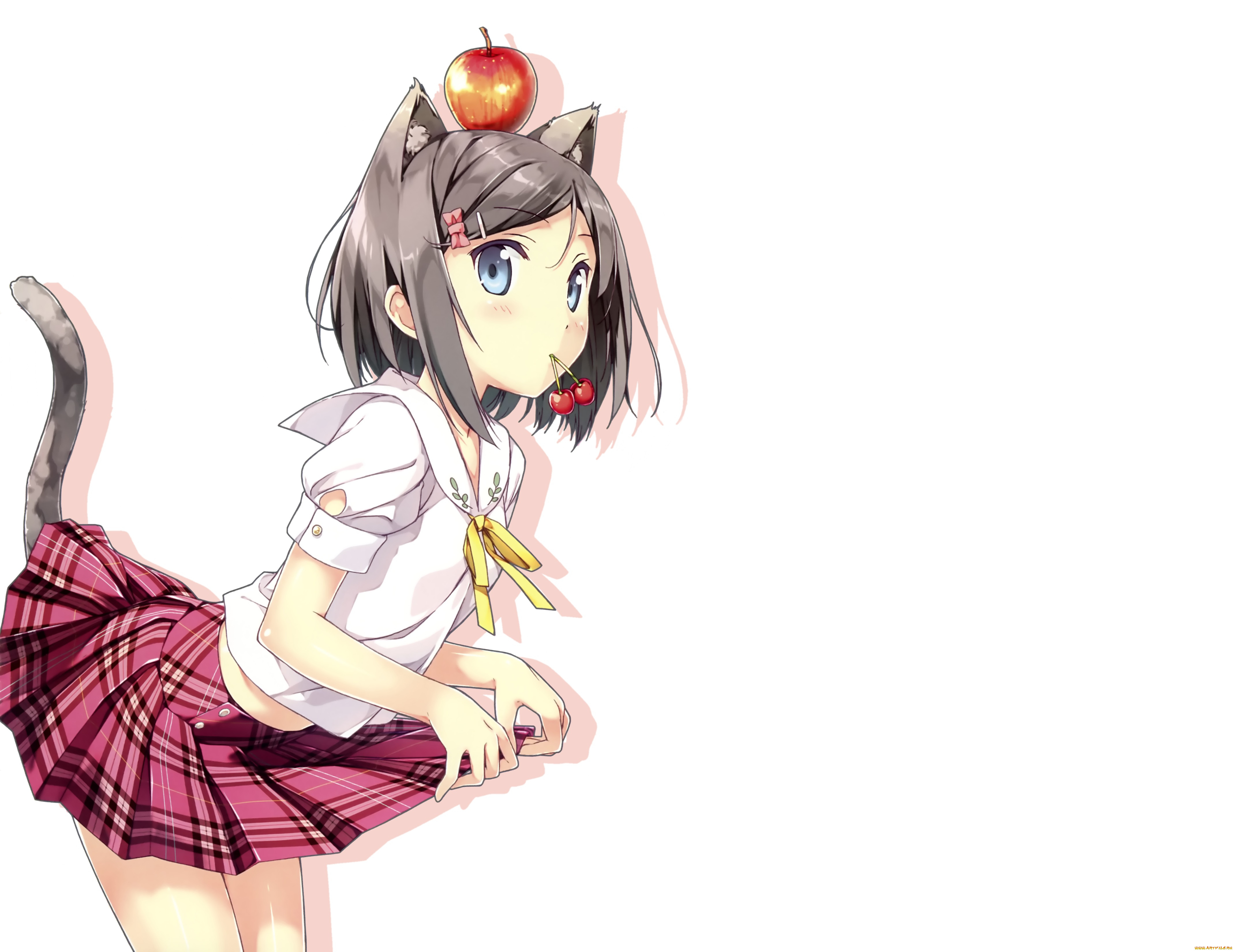 hentai, ouji, to, warawanai, neko, tsukiko, аниме, henneko, anime