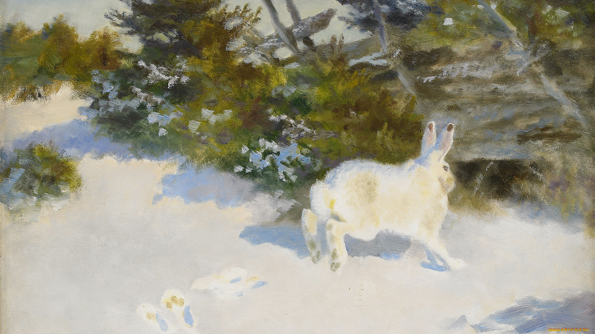 рисованное, животные, , зайцы, , кролики, заец, снег, лес