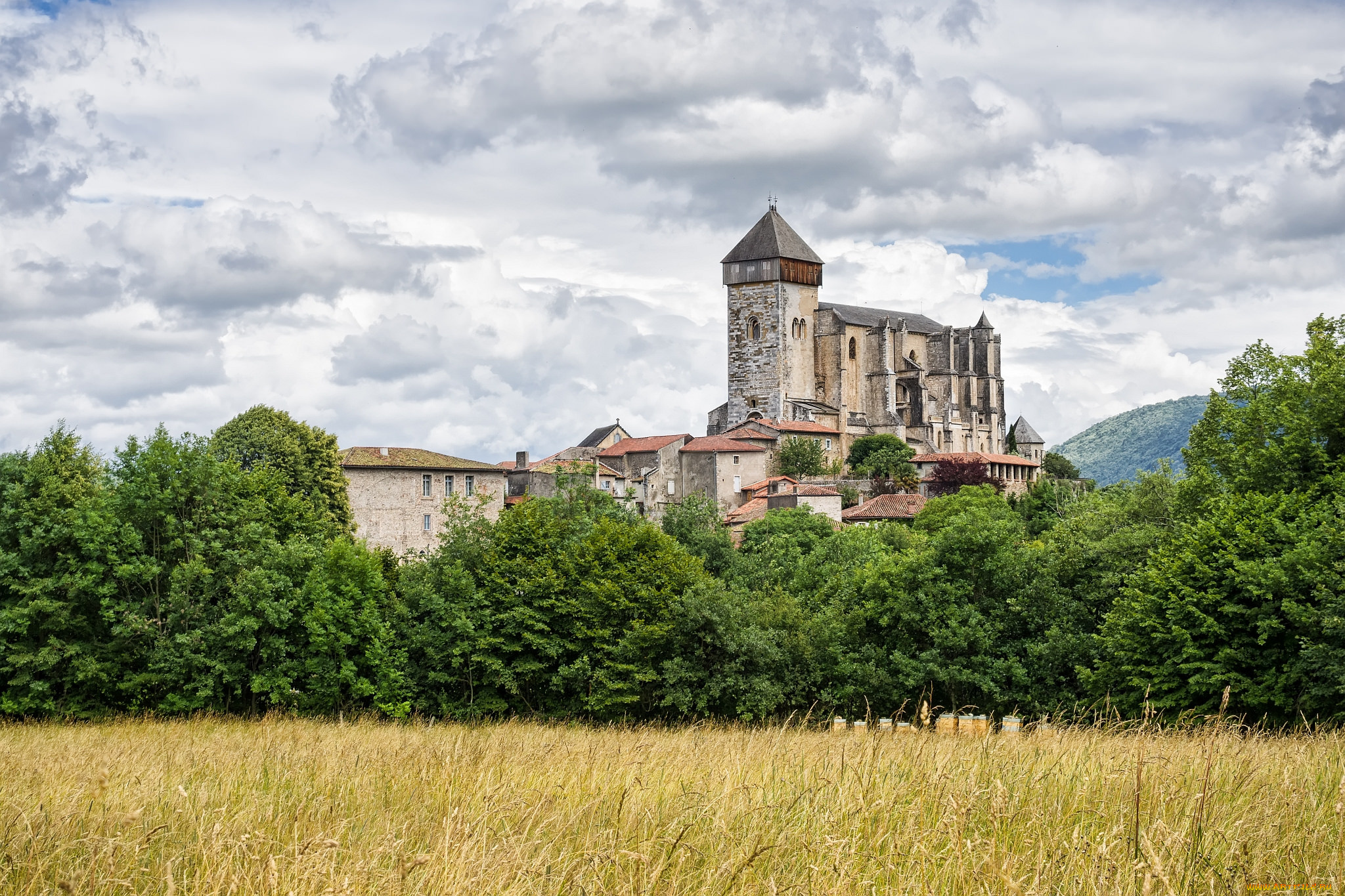 cath&, 233, drale, saint, bertrand, de, comminges, города, -, католические, соборы, , костелы, , аббатства, собор, поле, лес