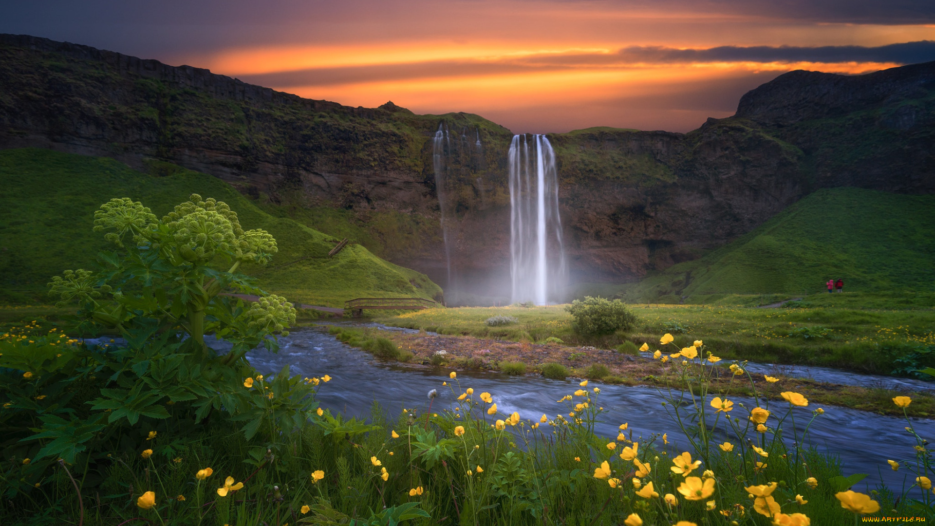 природа, водопады, исландия, водопад, цветы, закат
