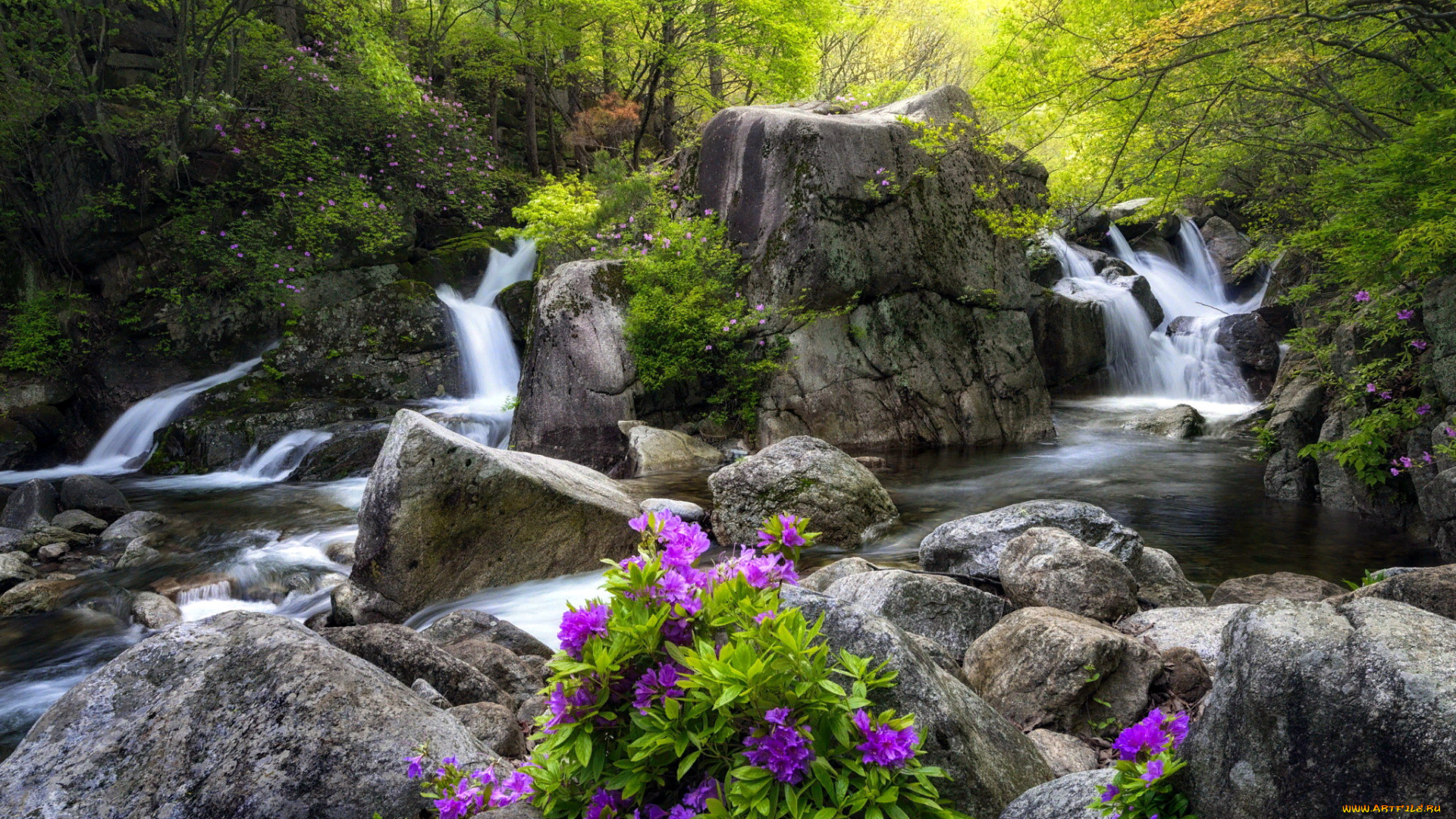 природа, водопады, камни, цветы, водопад