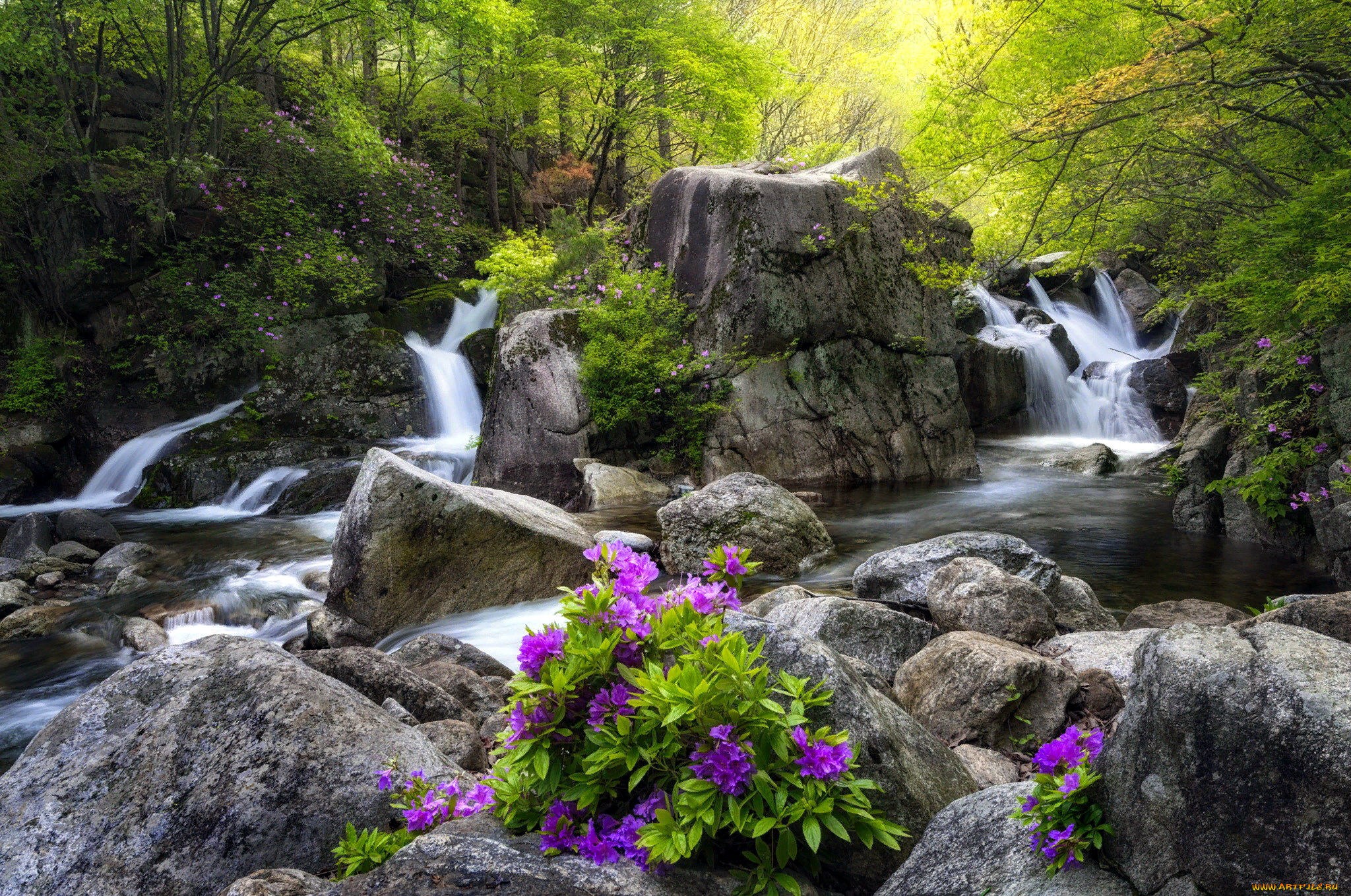 природа, водопады, камни, цветы, водопад