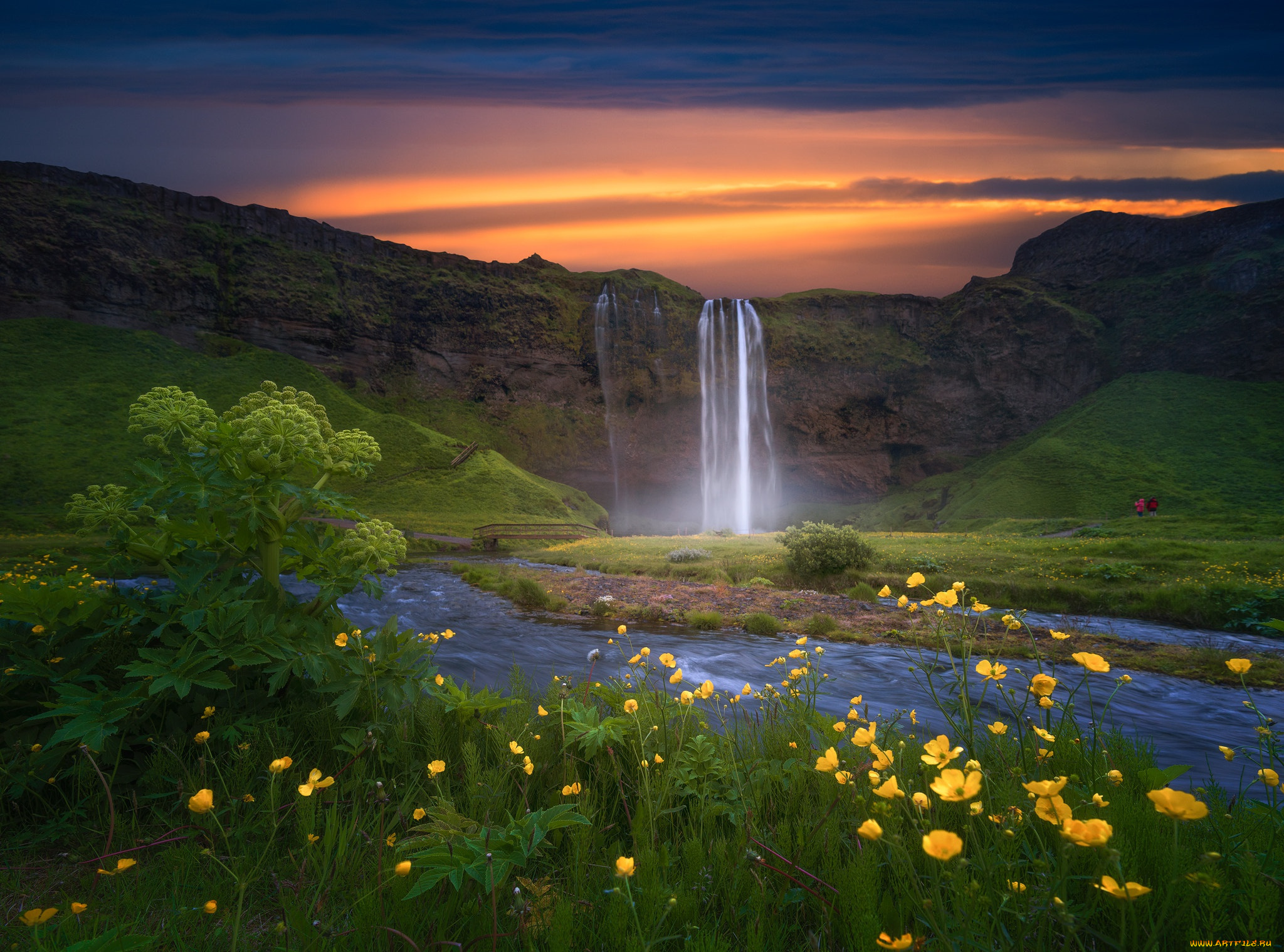 природа, водопады, исландия, водопад, цветы, закат
