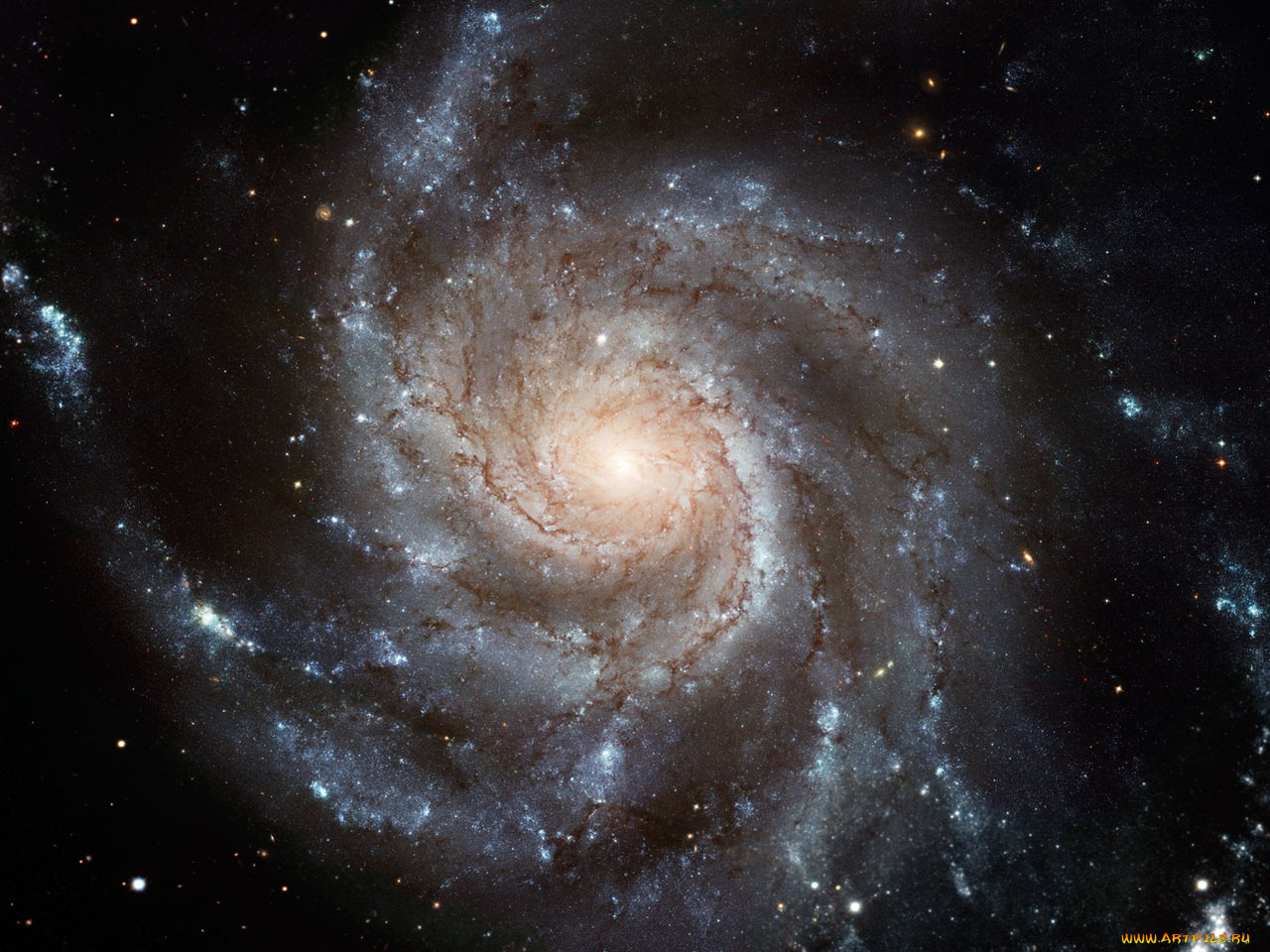 m101, космос, галактики, туманности