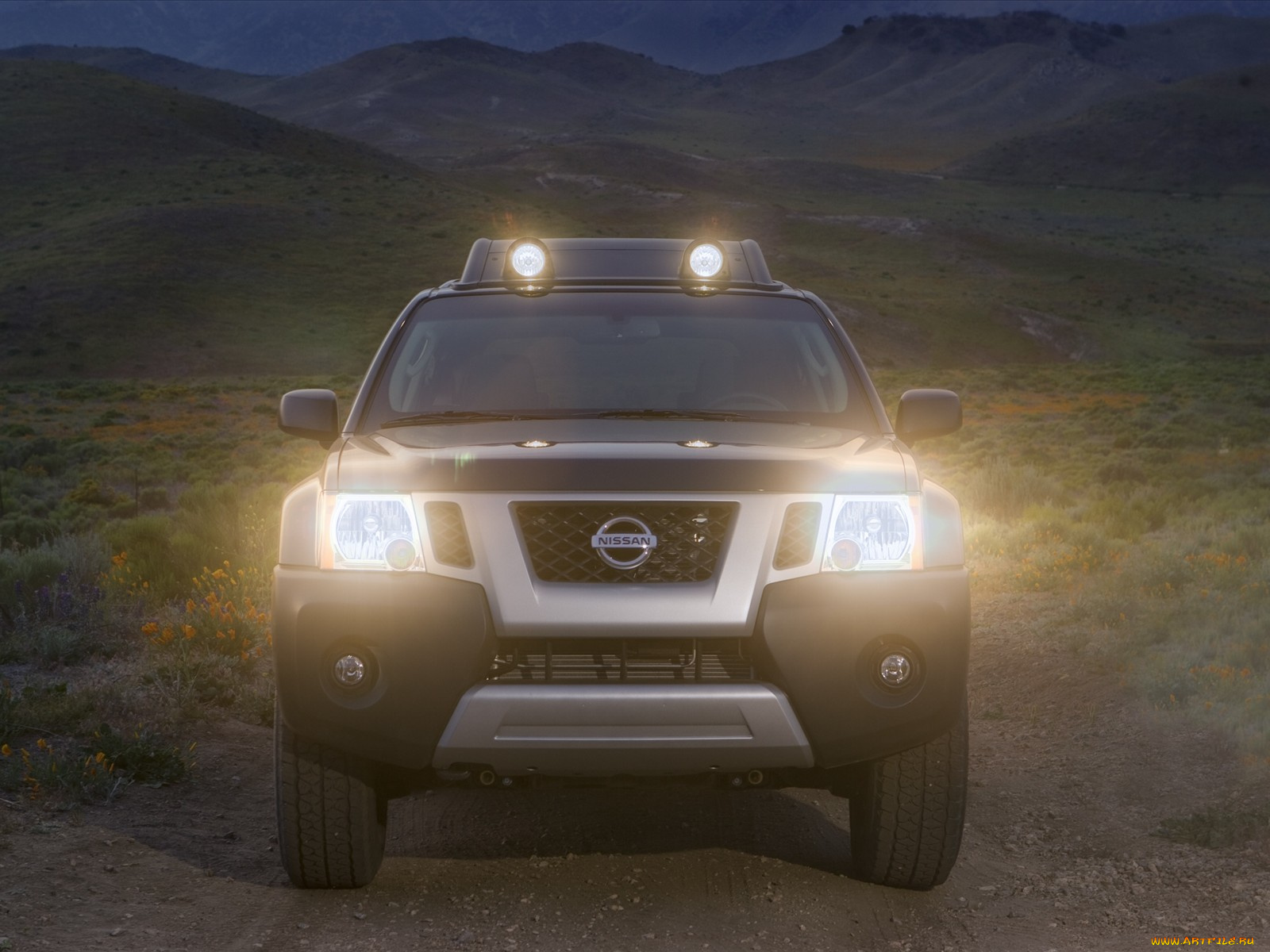 nissan, xterra, 2010, автомобили, datsun