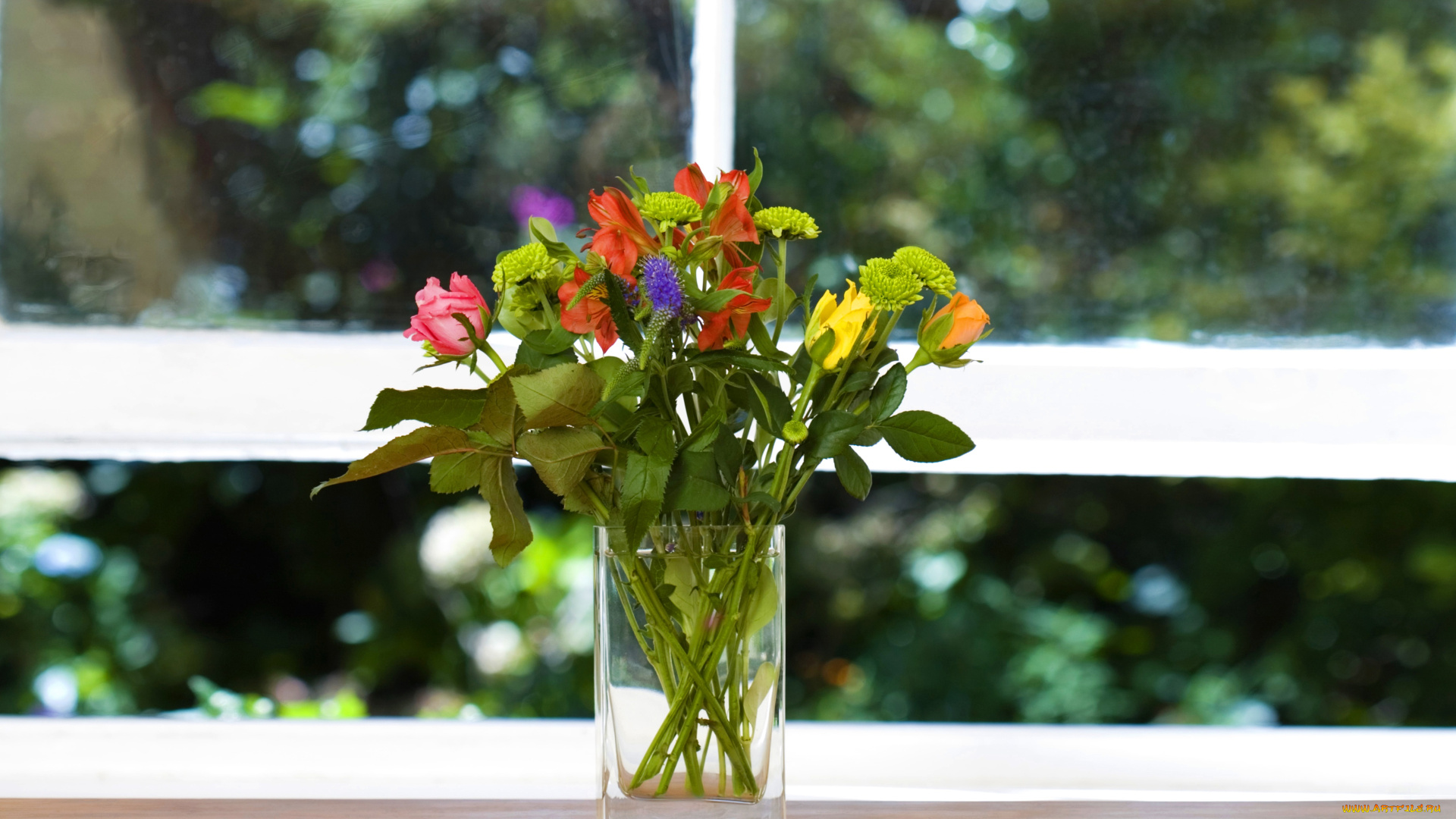 цветы, букеты, композиции, ваза, окно, подоконник, зелень, букетик