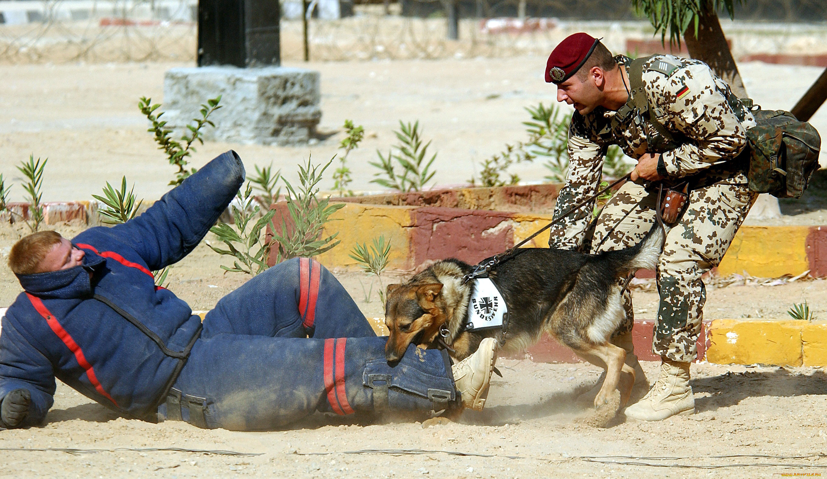 оружие, армия, спецназ, soldiers, army