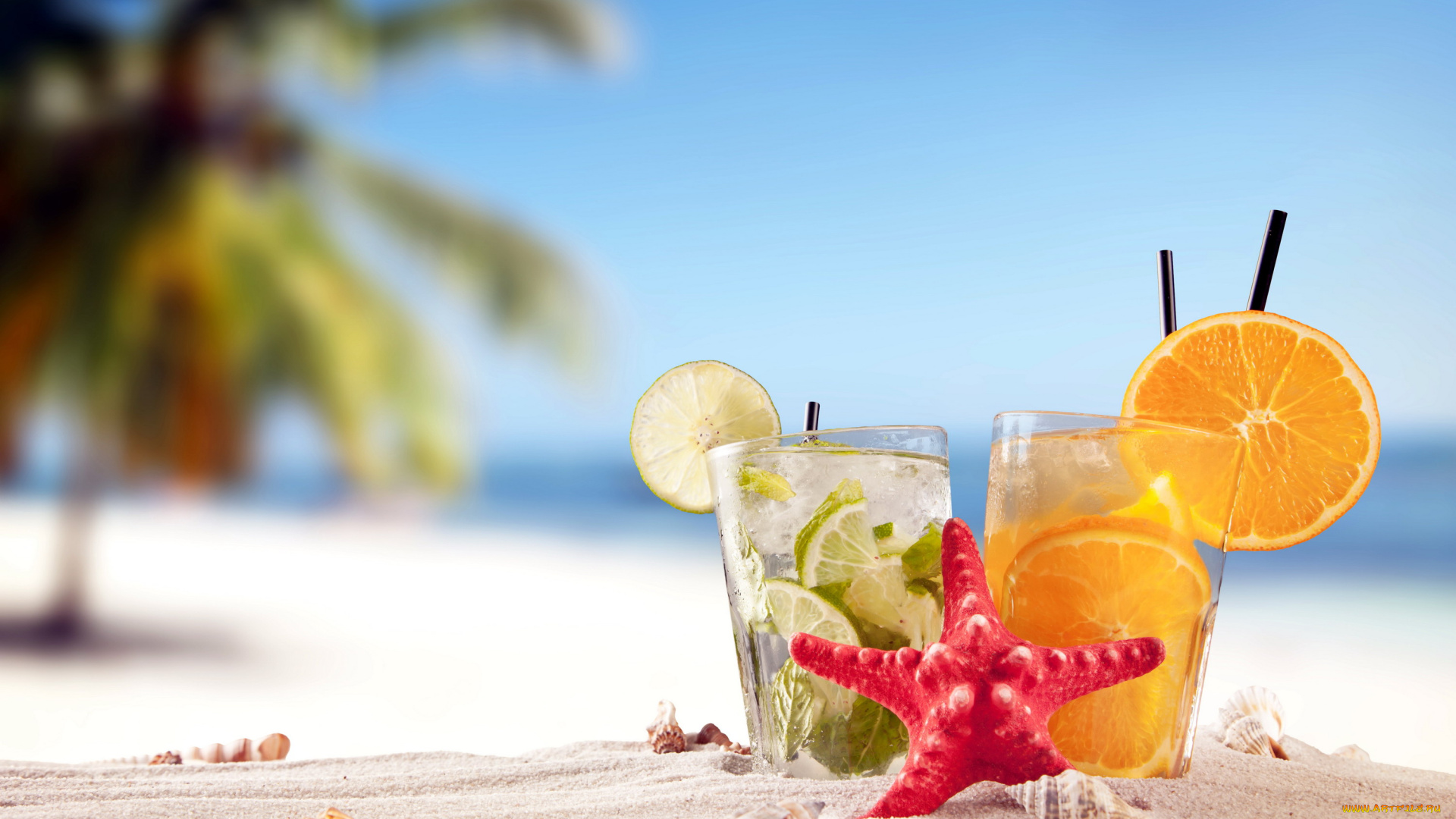 еда, напитки, , коктейль, ракушки, summer, tropical, vacation, beach, drink, пляж, песок, лето, море, отдых, солнце, коктейли, лайм, апельсин