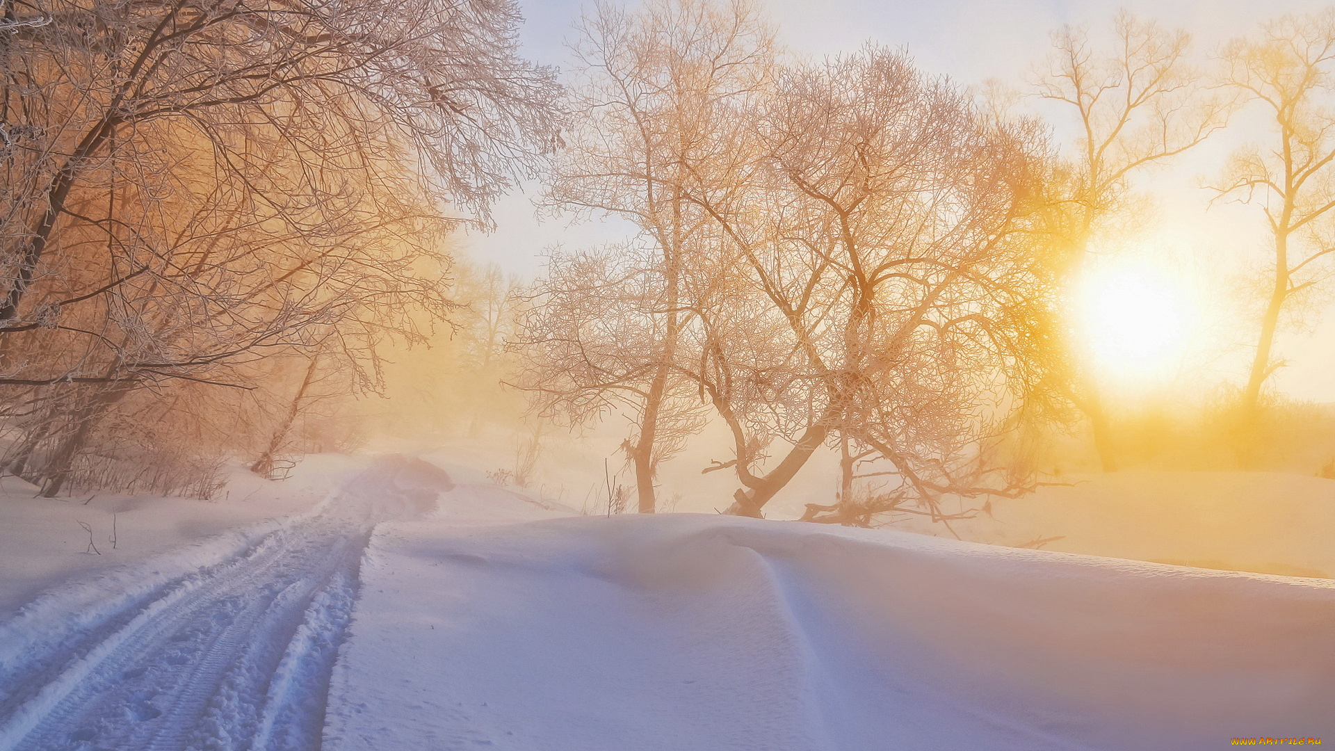 природа, зима, туман, свет, утро