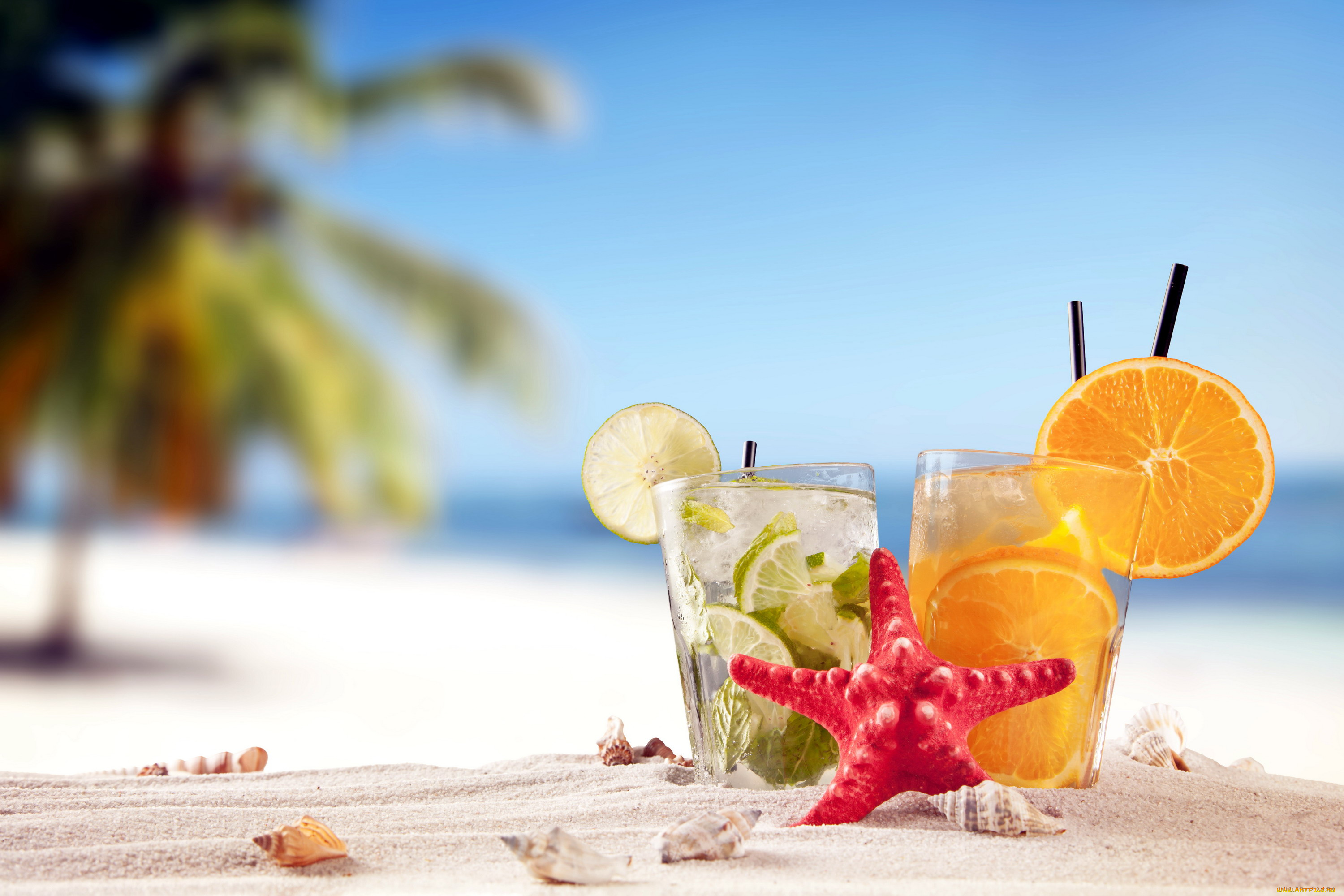 еда, напитки, , коктейль, ракушки, summer, tropical, vacation, beach, drink, пляж, песок, лето, море, отдых, солнце, коктейли, лайм, апельсин
